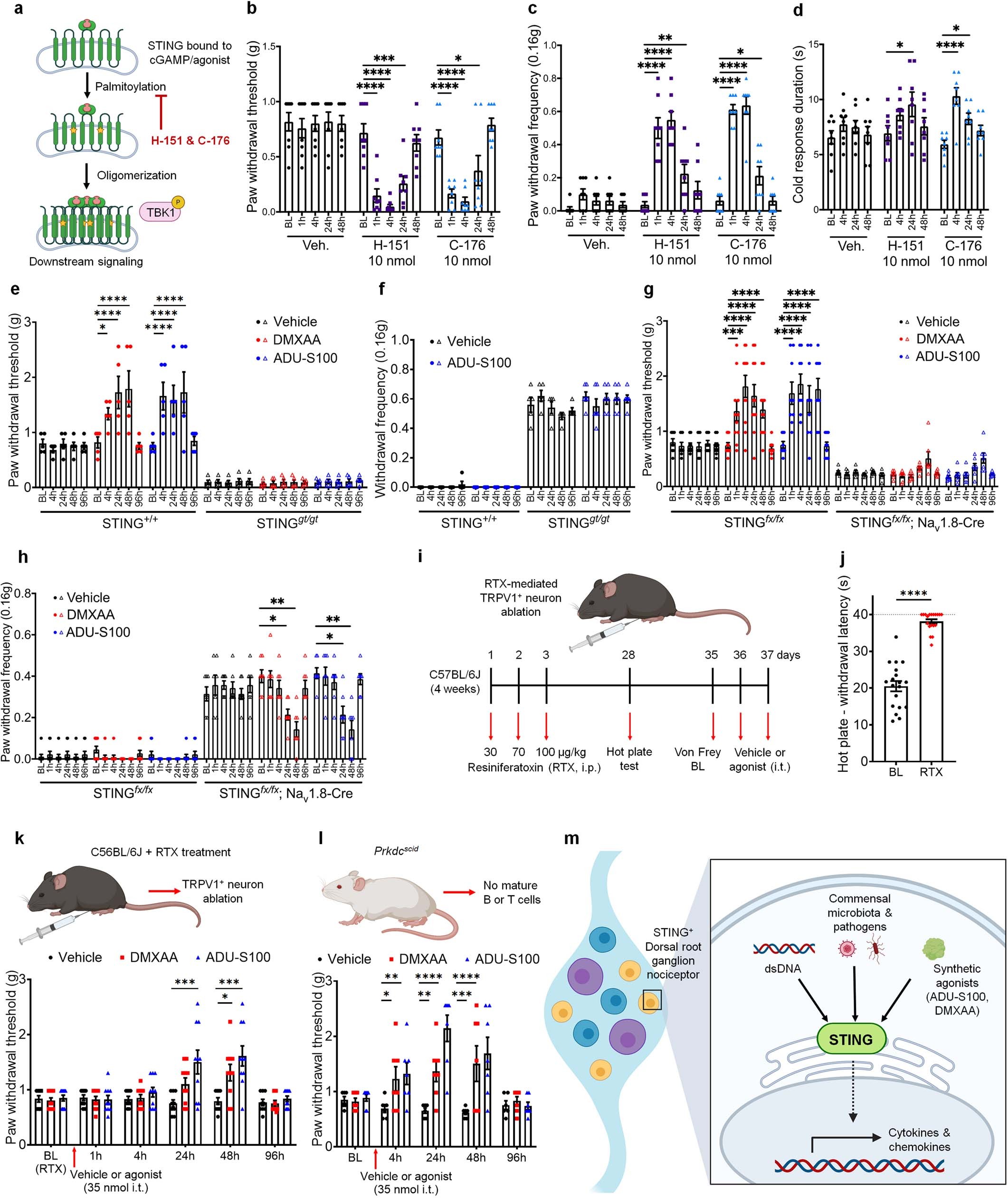 Extended Data Fig. 5