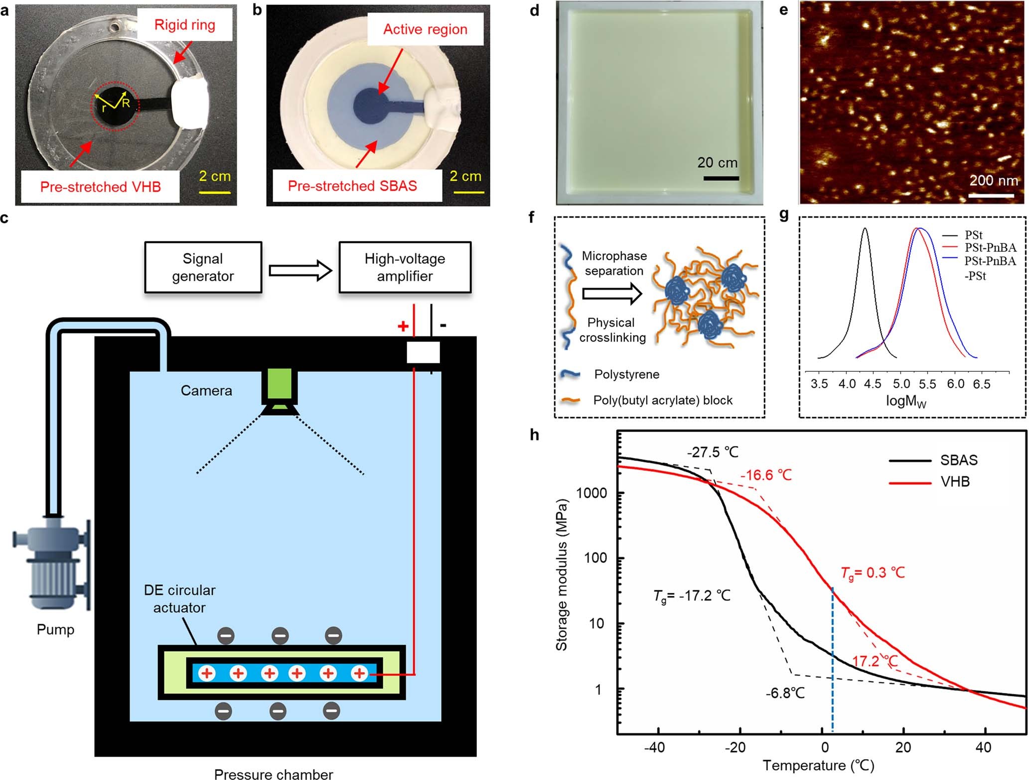 Extended Data Fig. 6