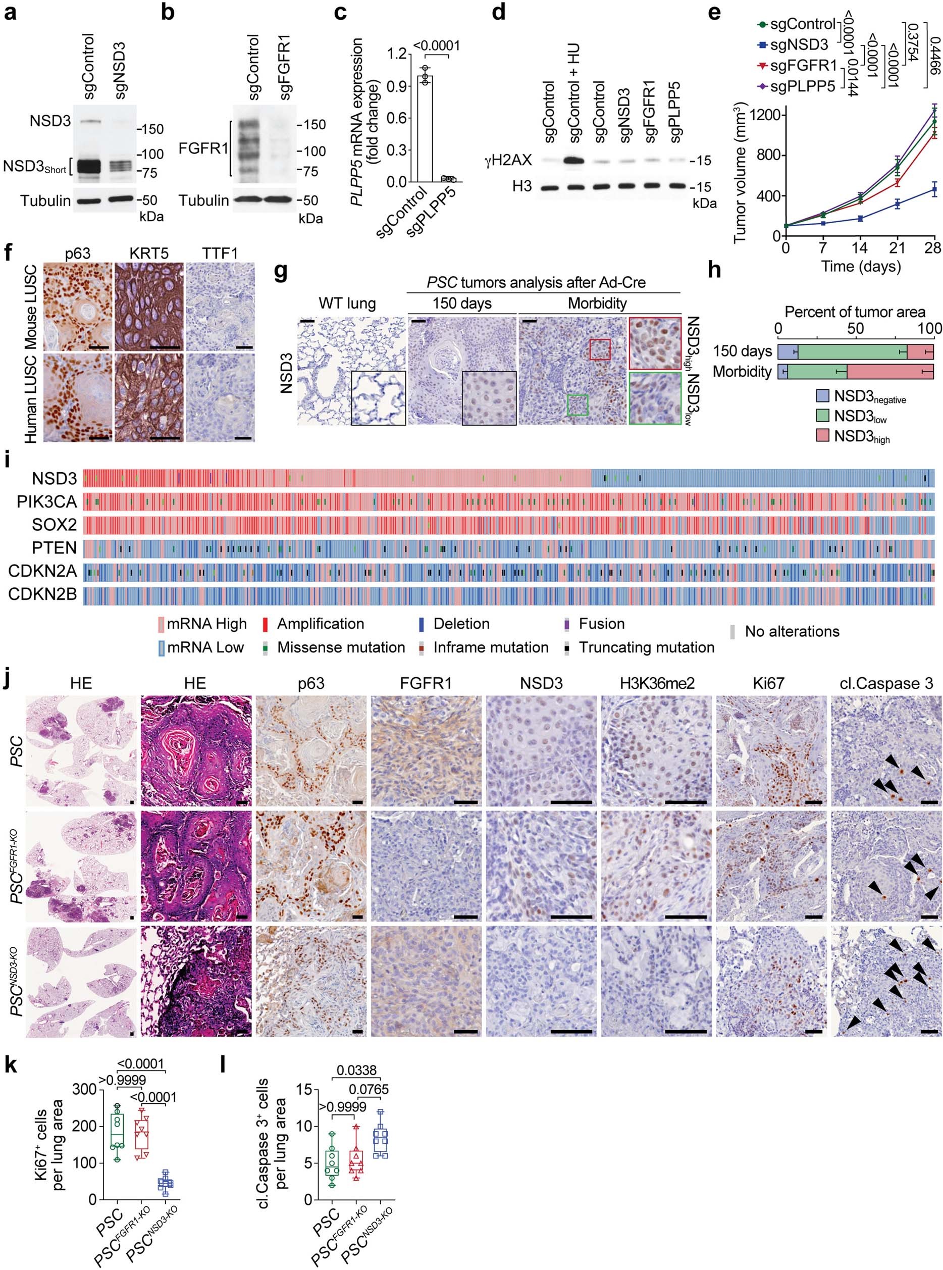Extended Data Fig. 2