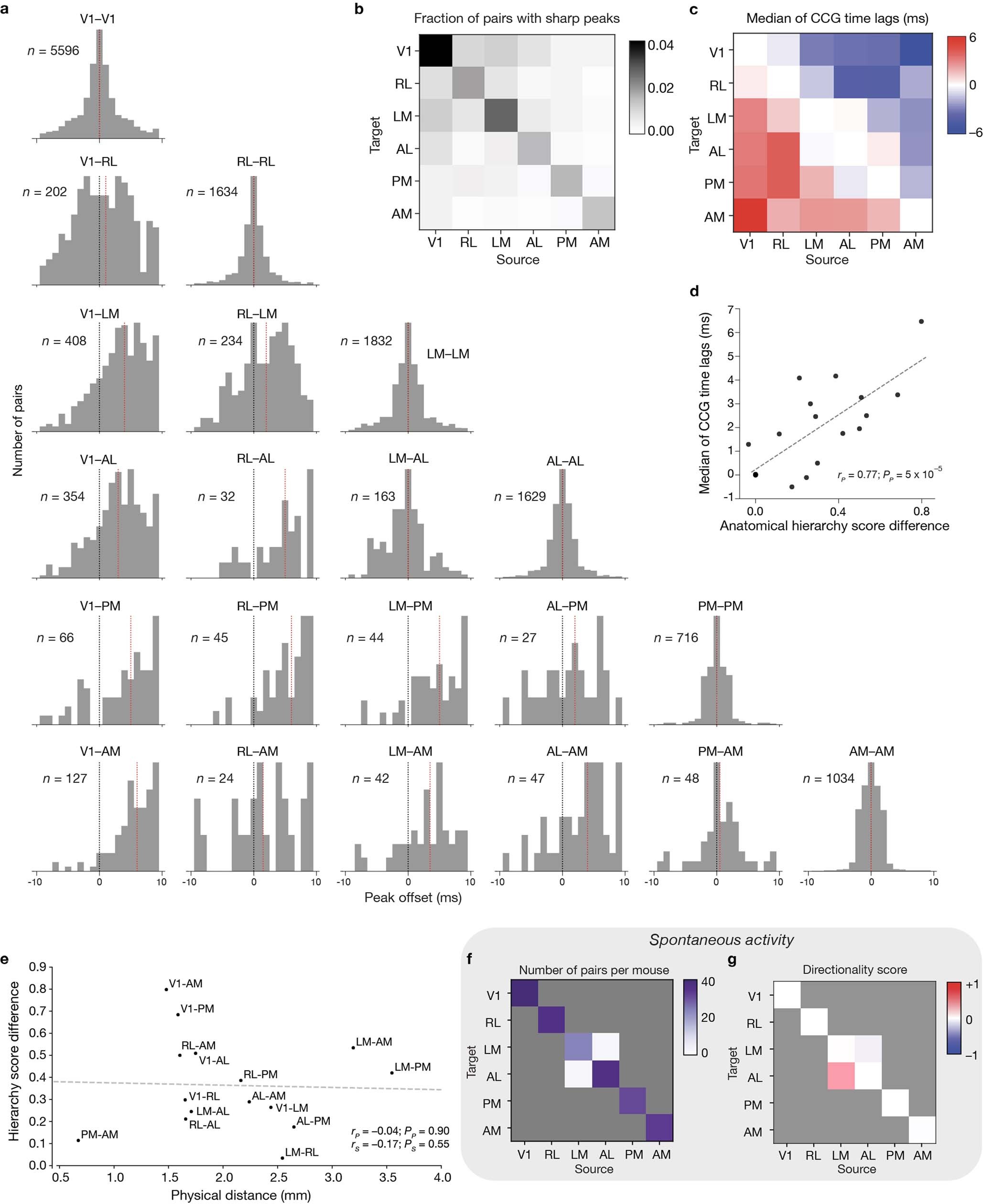 Extended Data Fig. 7: Functional connections between visual cortical areas.