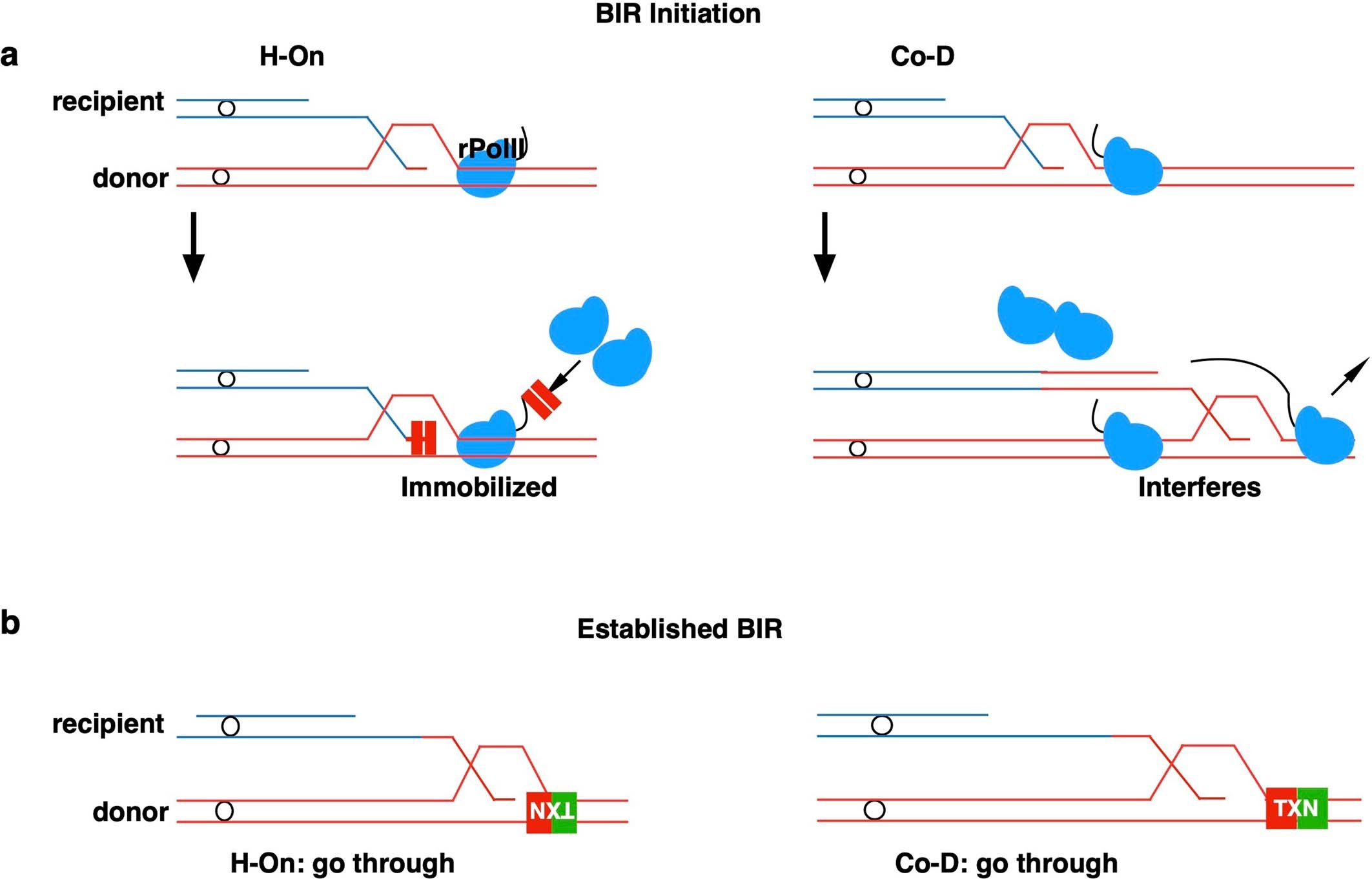Extended Data Fig. 10