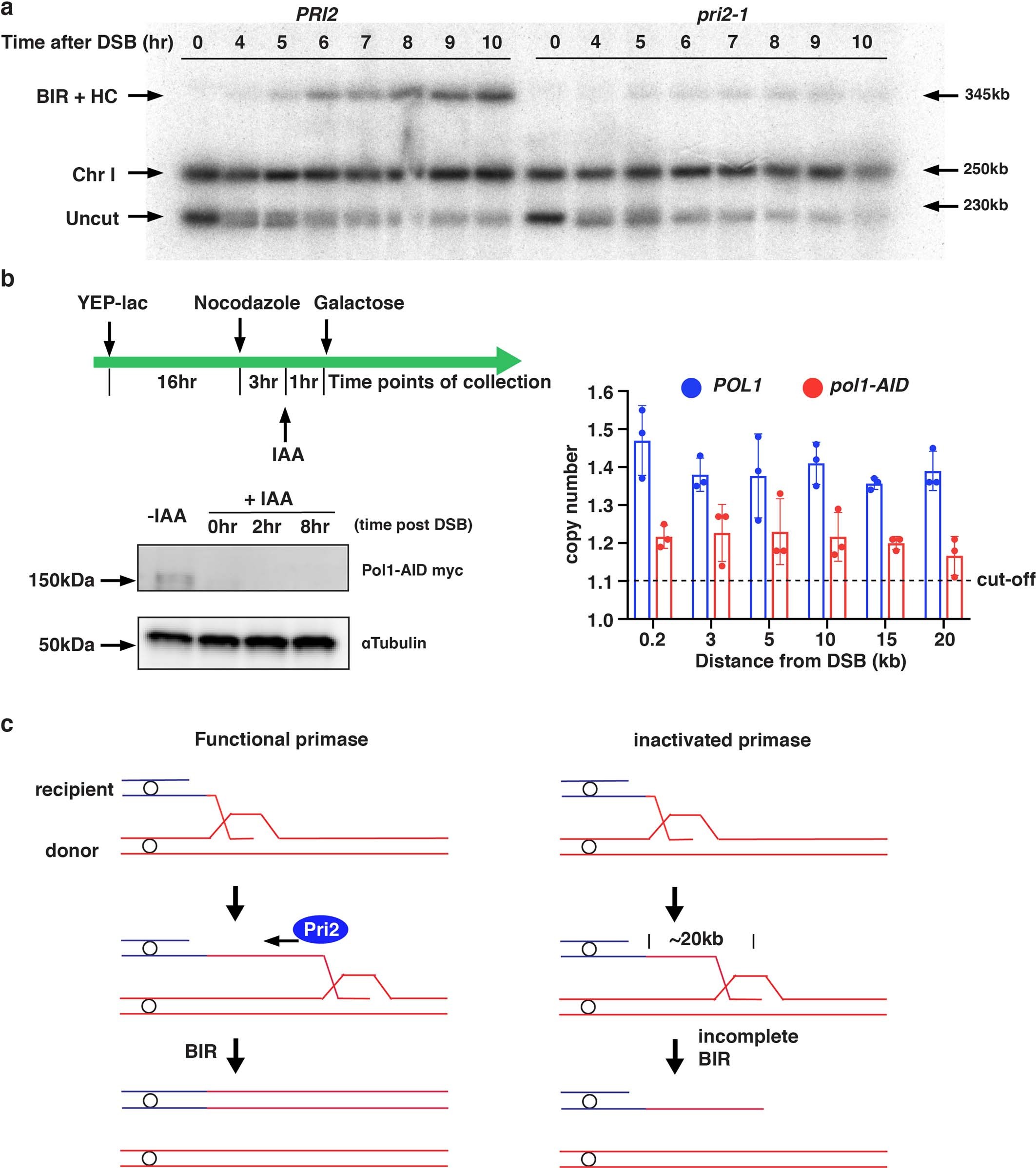 Extended Data Fig. 4