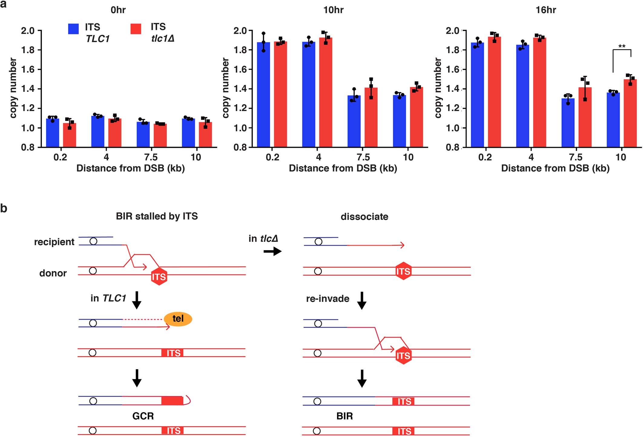 Extended Data Fig. 5