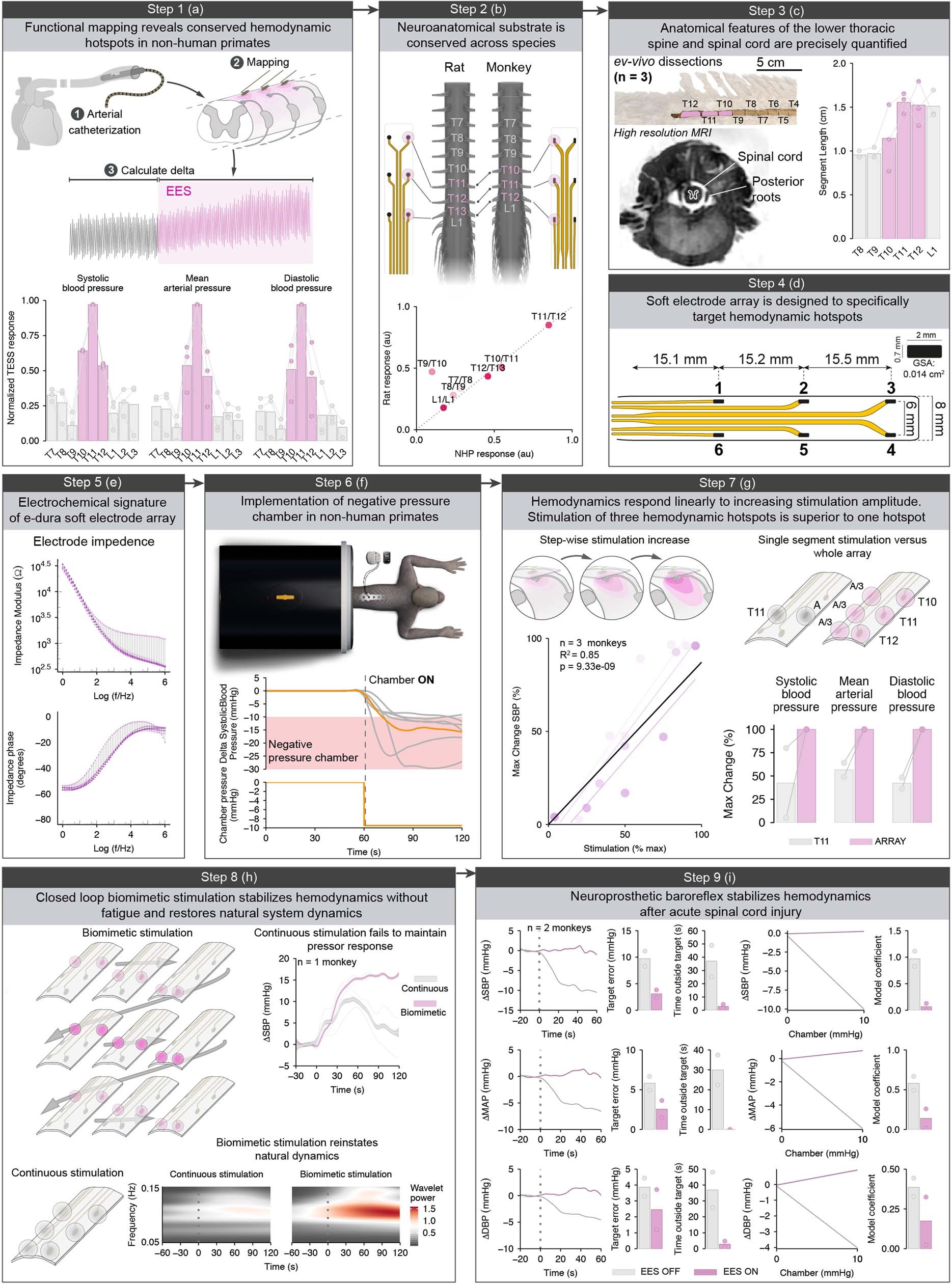 Extended Data Fig. 9: Neuroprosthetic baroreflex implemented in non-human primates with spinal cord injury.