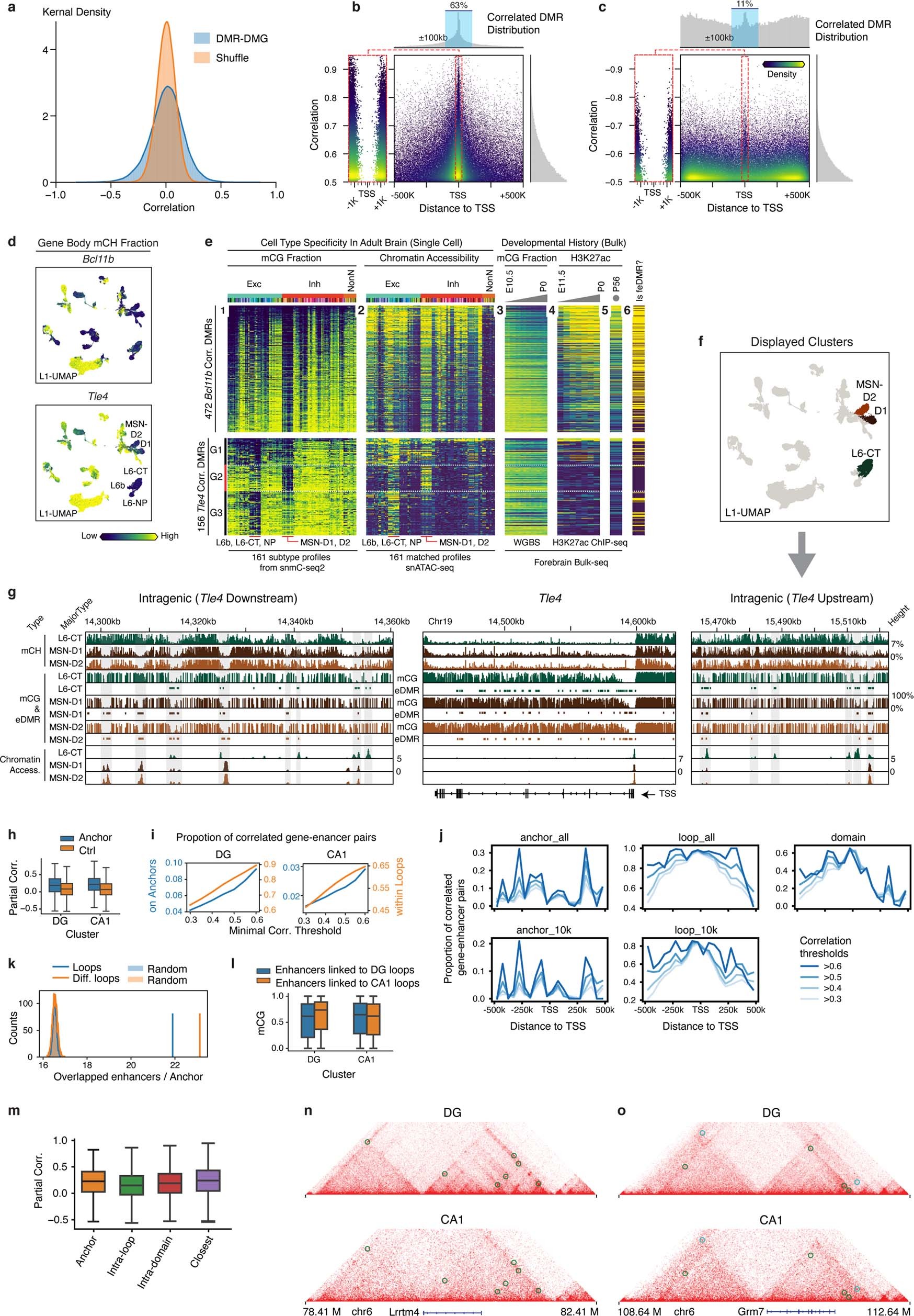 Extended Data Fig. 8: Gene-Enhancer landscape related.