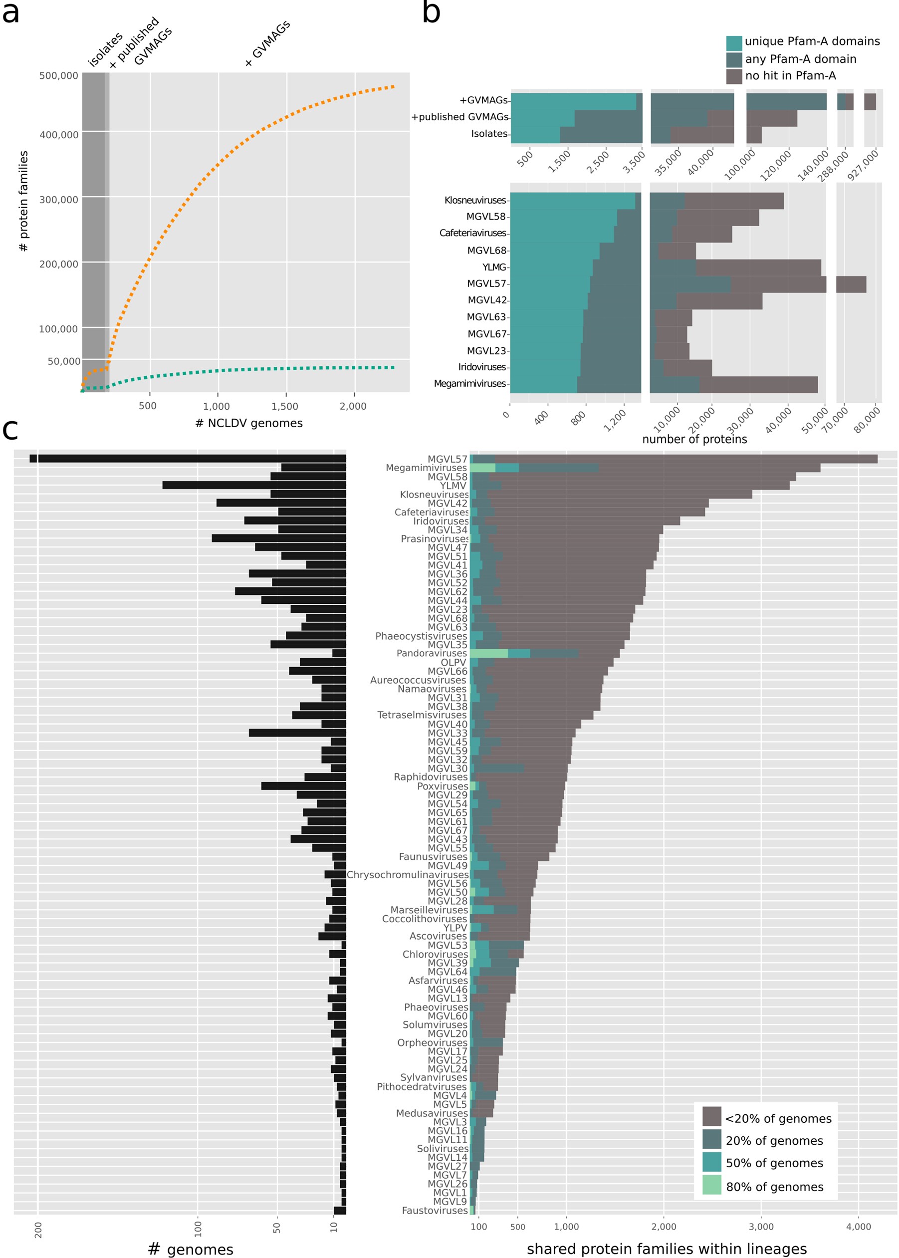 Extended Data Fig. 5: Shared and unique protein families within NCLDV lineages.