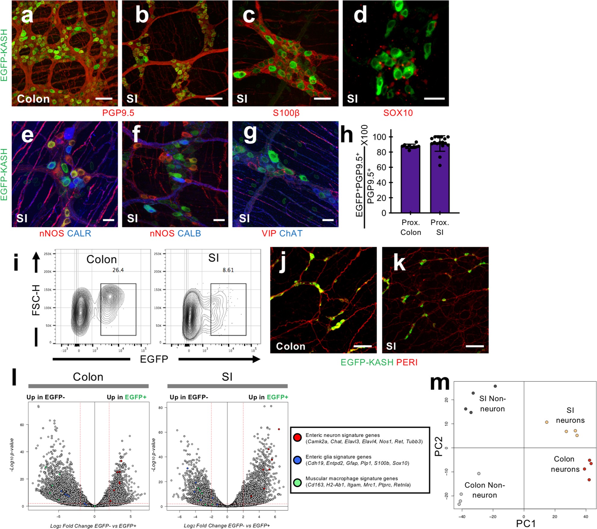 Extended Data Fig. 1