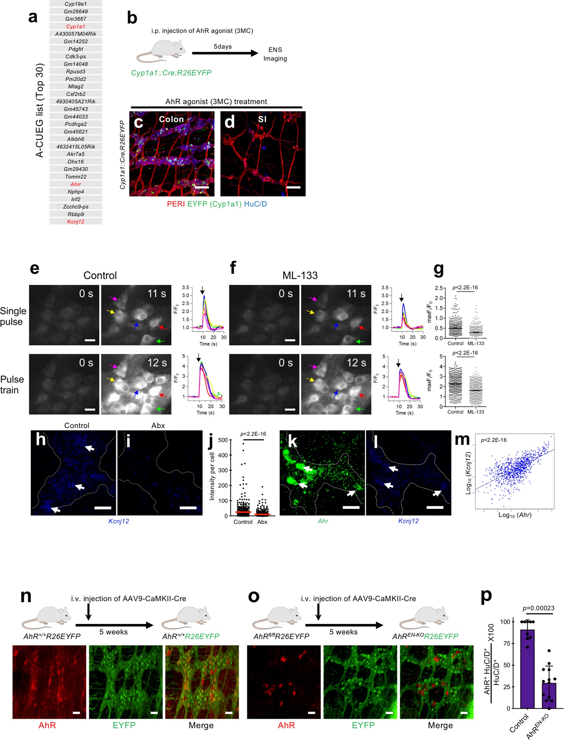 Extended Data Fig. 5