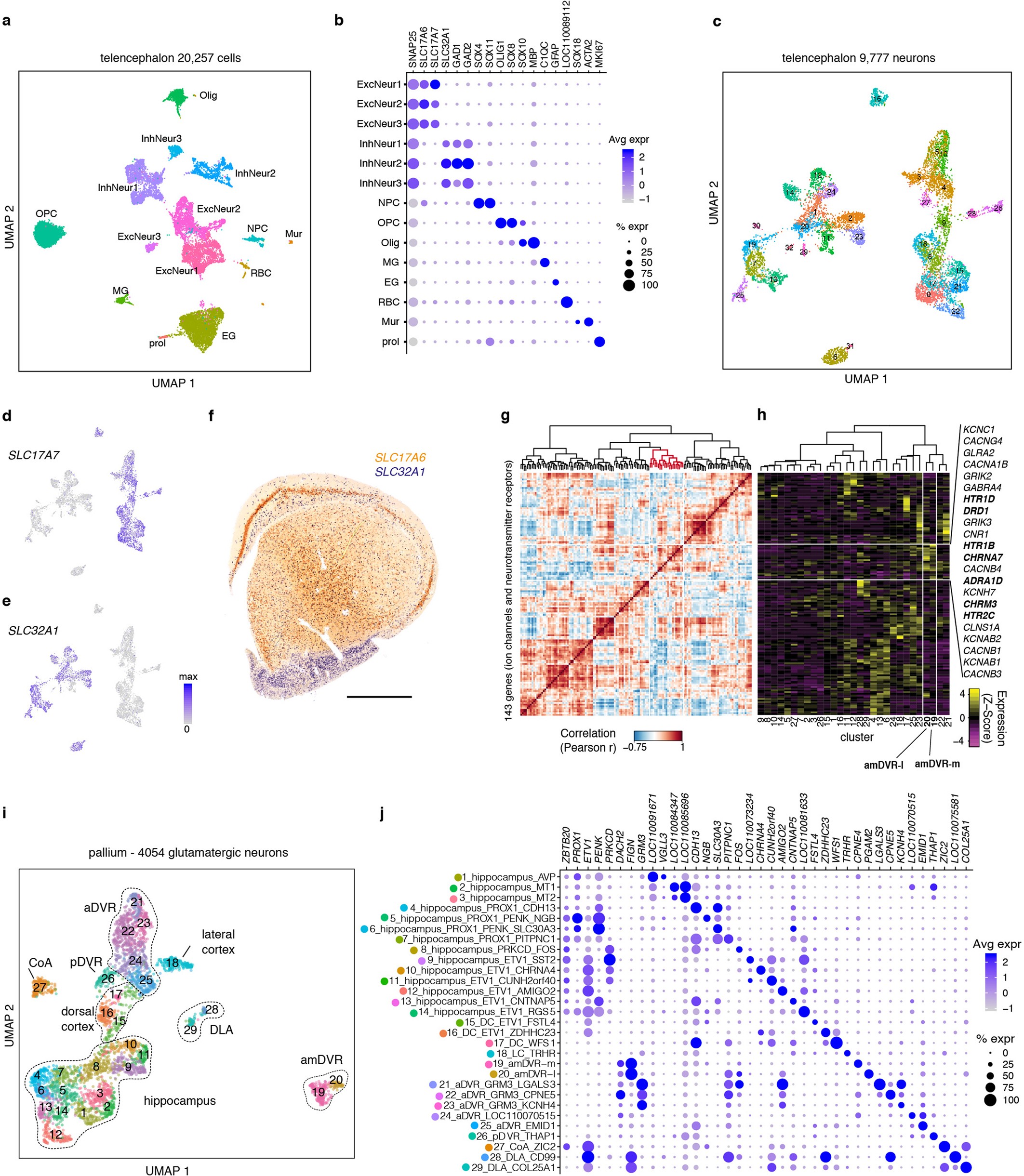 Extended Data Fig. 3: Additional single-cell transcriptomic characterization.