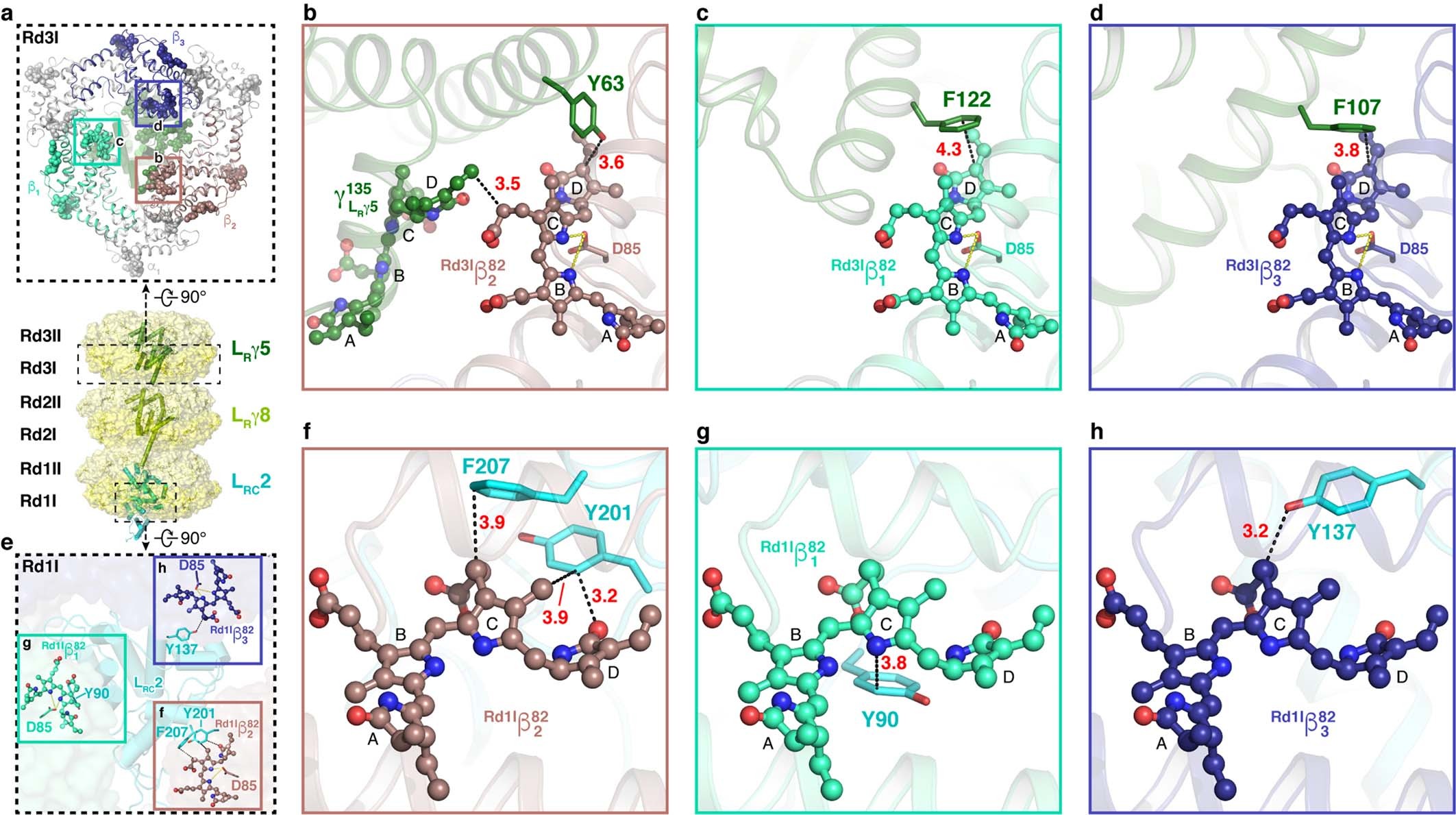 Extended Data Fig. 6