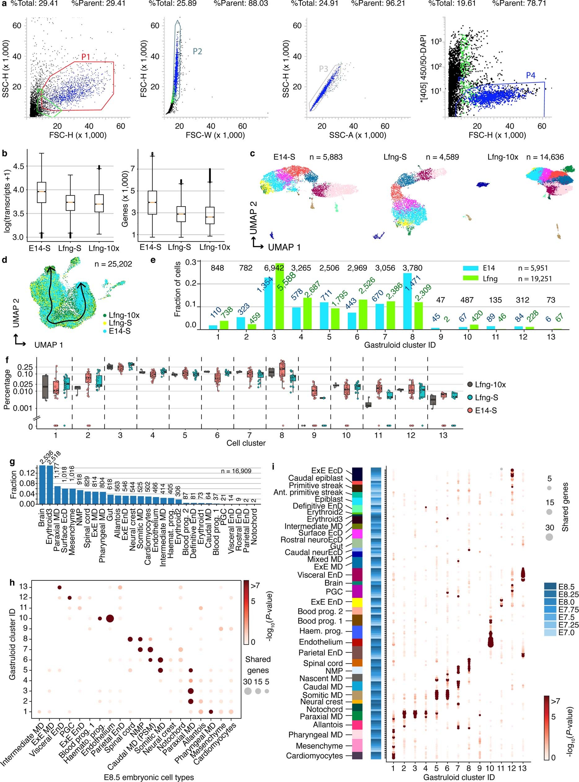 Extended Data Fig. 1: scRNA-seq on 120-h mouse gastruloids and comparison to embryos.