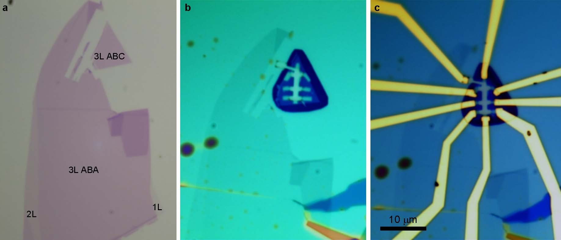 Extended Data Fig. 2