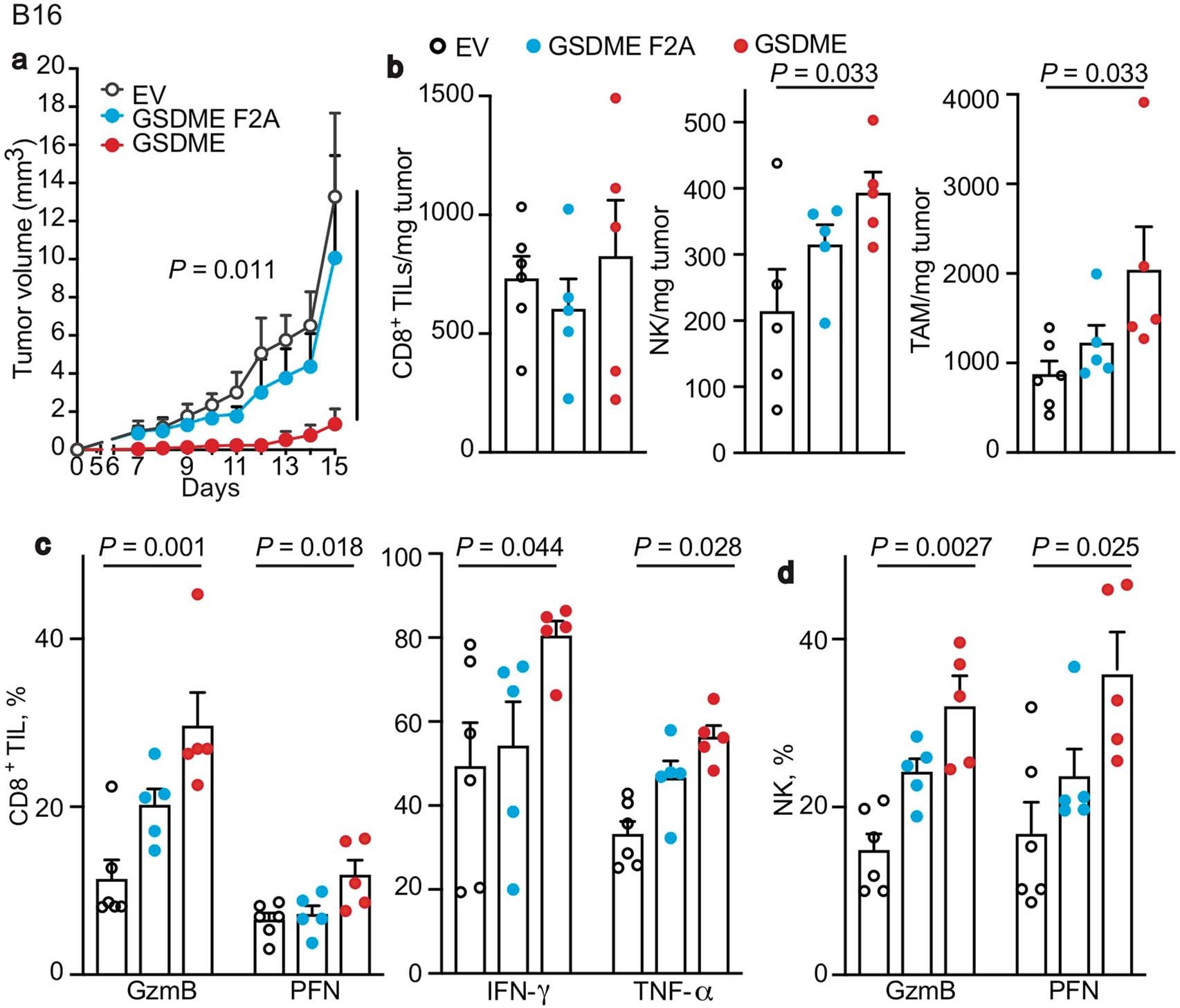 Extended Data Fig. 6: GSDME overexpression in B16 cells reduces tumour growth and increases immune responses within tumours.