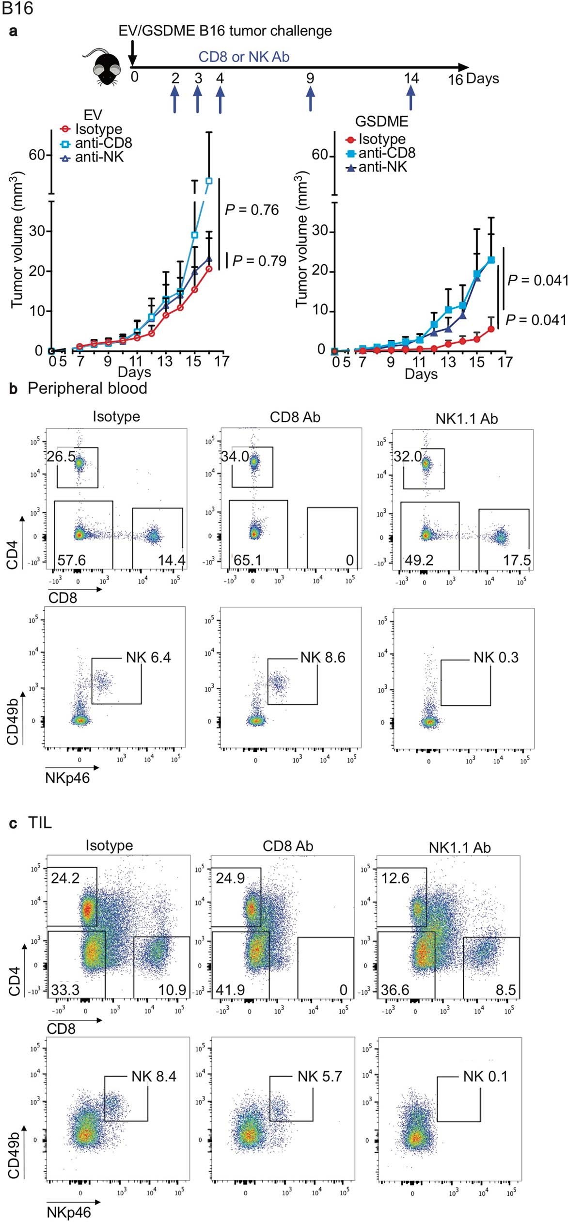 Extended Data Fig. 8: B16 tumour growth in mice depleted of CD8+ or NK cells.