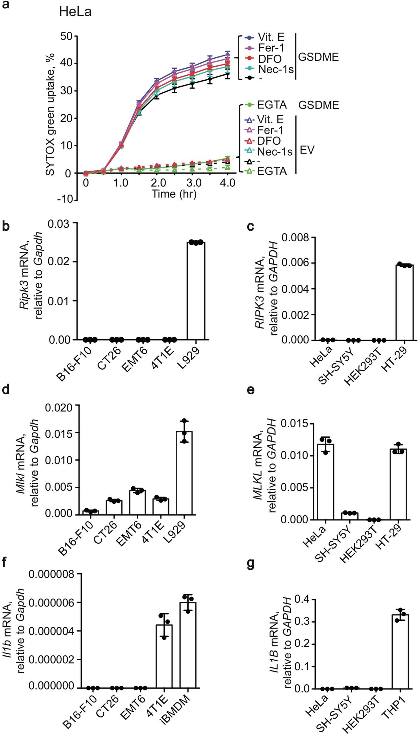 Extended Data Fig. 9: Necroptosis and ferroptosis are not involved in GSDME-mediated pyroptosis.