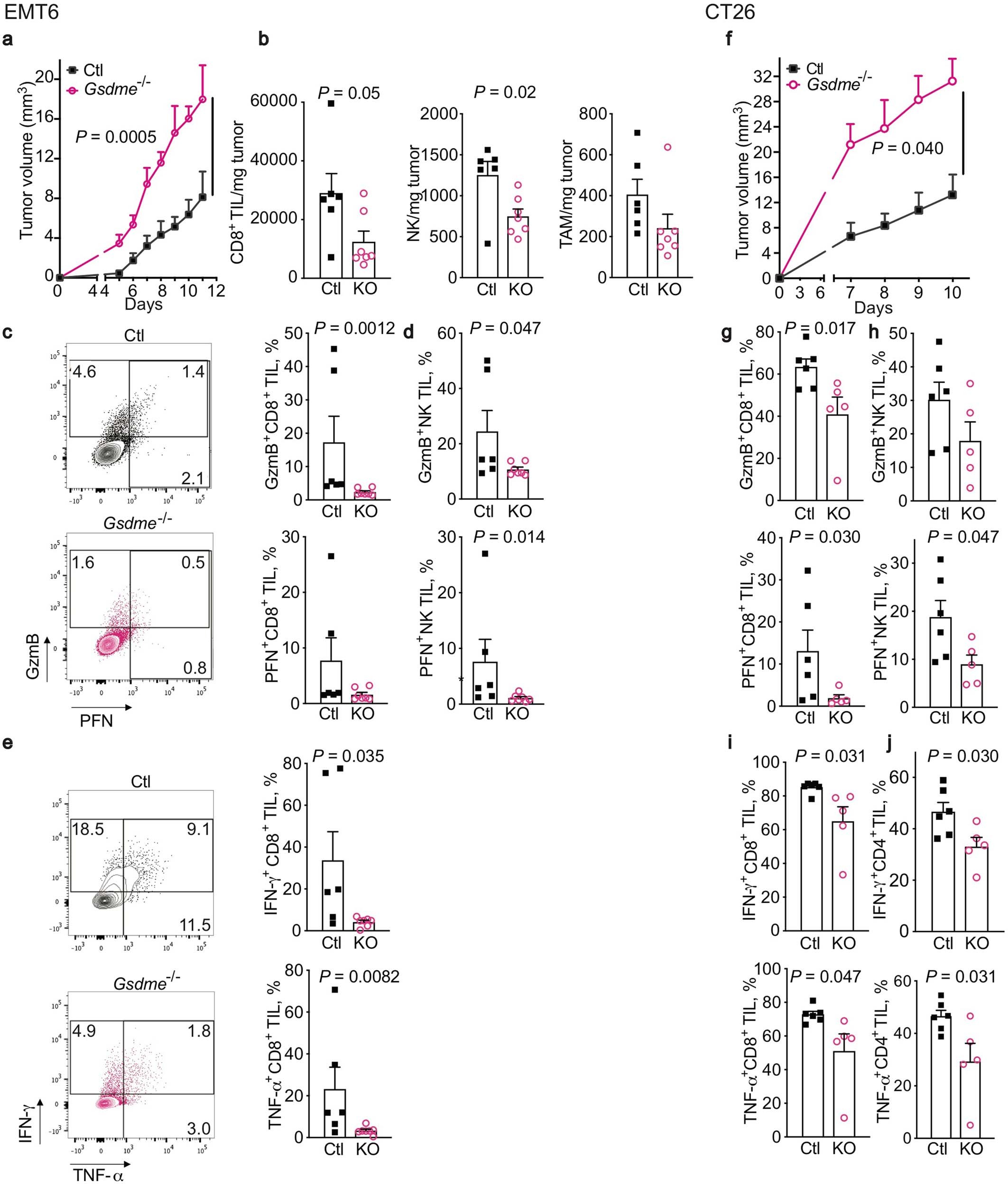 Extended Data Fig. 4: Gsdme knockout in EMT6 and CT26 cells increases tumour growth and reduces immune responses within tumours.