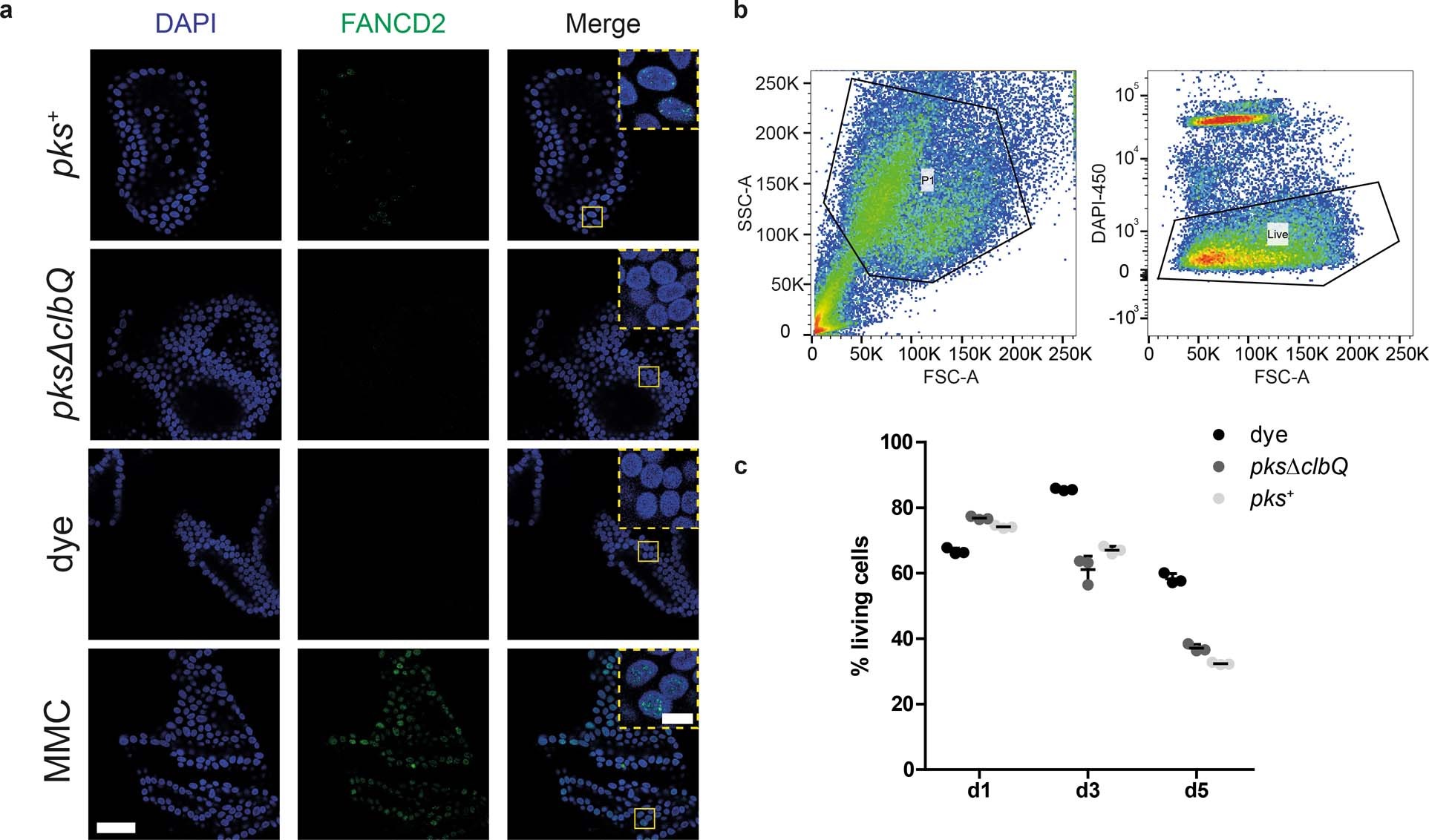Extended Data Fig. 1