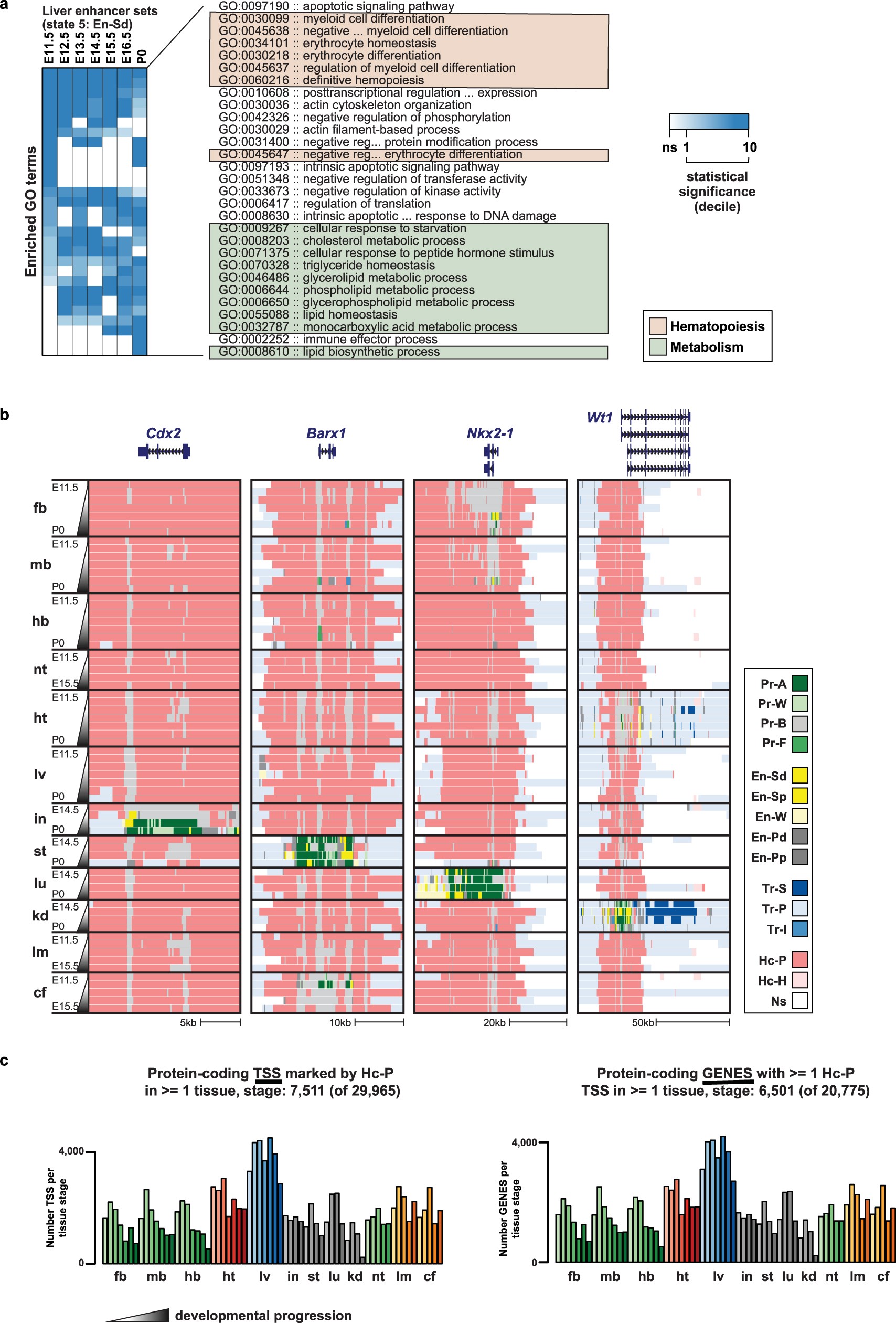 Extended Data Fig. 9: Chromatin state dynamics and signature of PcG repression at key regulators.