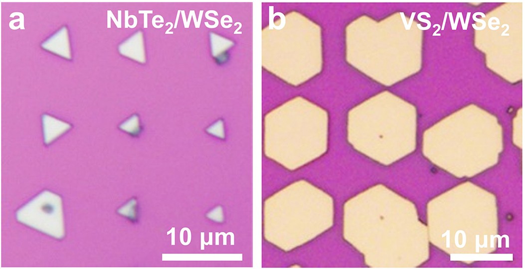 Extended Data Fig. 5