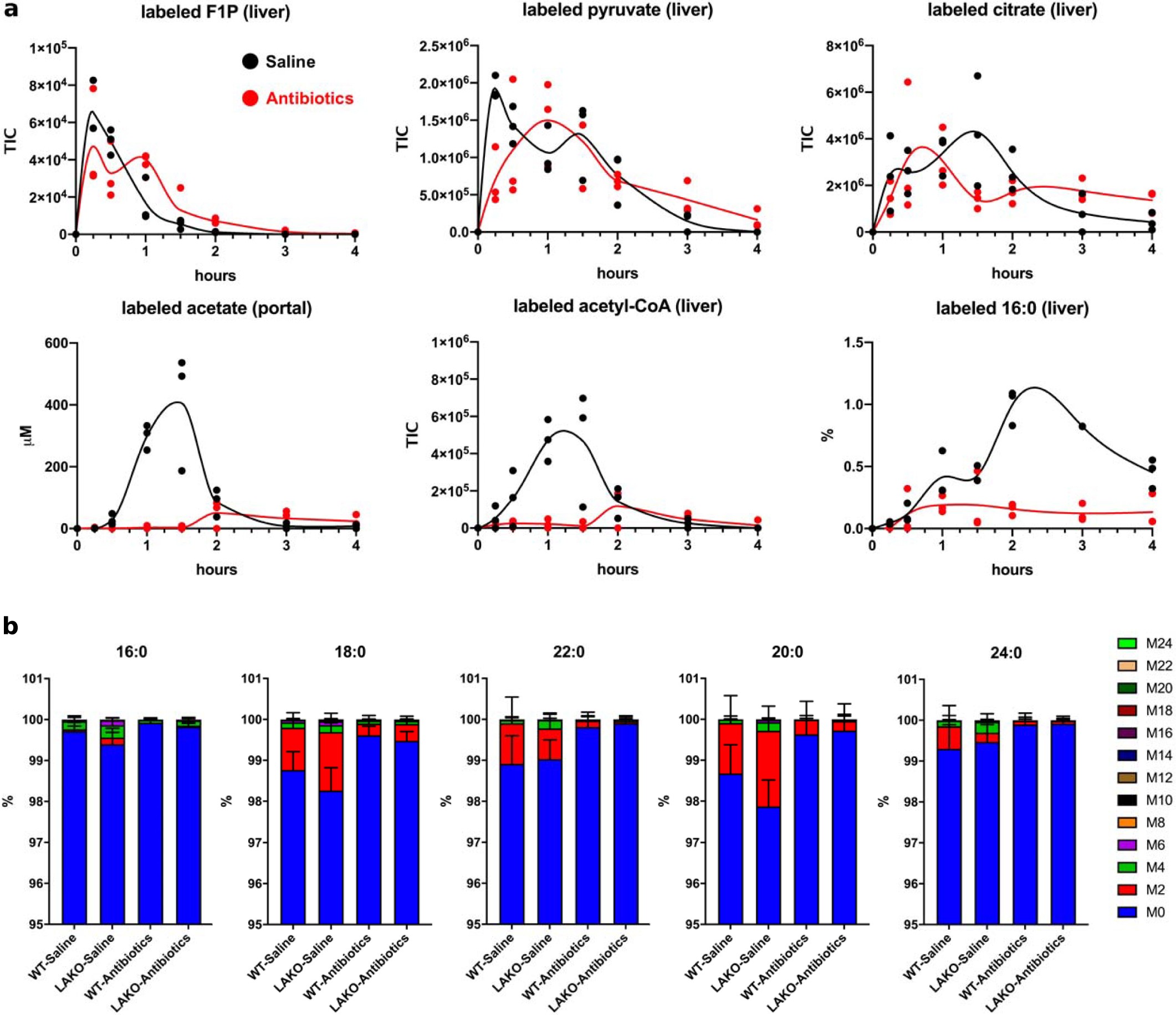 Extended Data Fig. 7: Bolus fructose is converted into acetate in a microbiota-dependent manner.