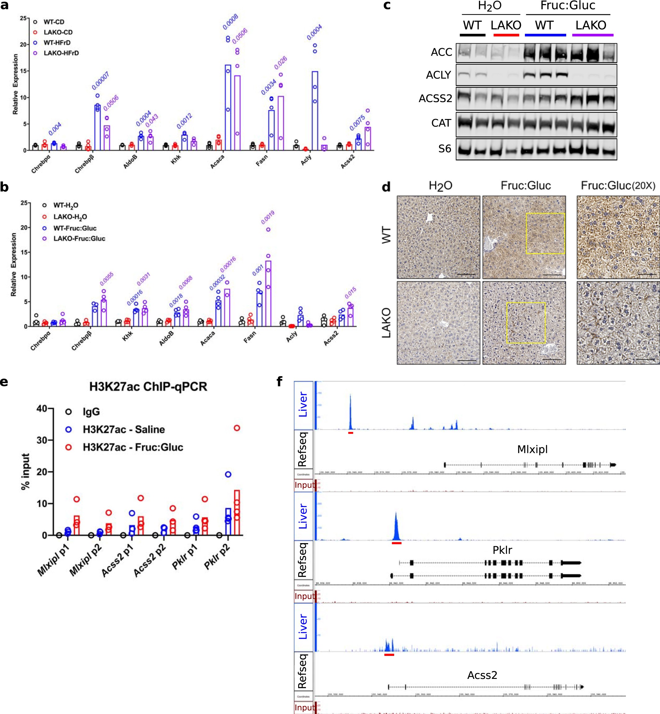 Extended Data Fig. 5: Fructose signals the use of acetate for de novo lipogenesis.