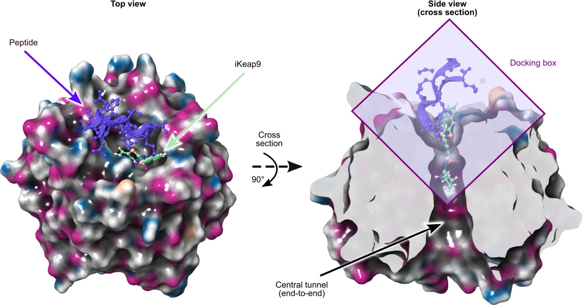 Extended Data Fig. 9