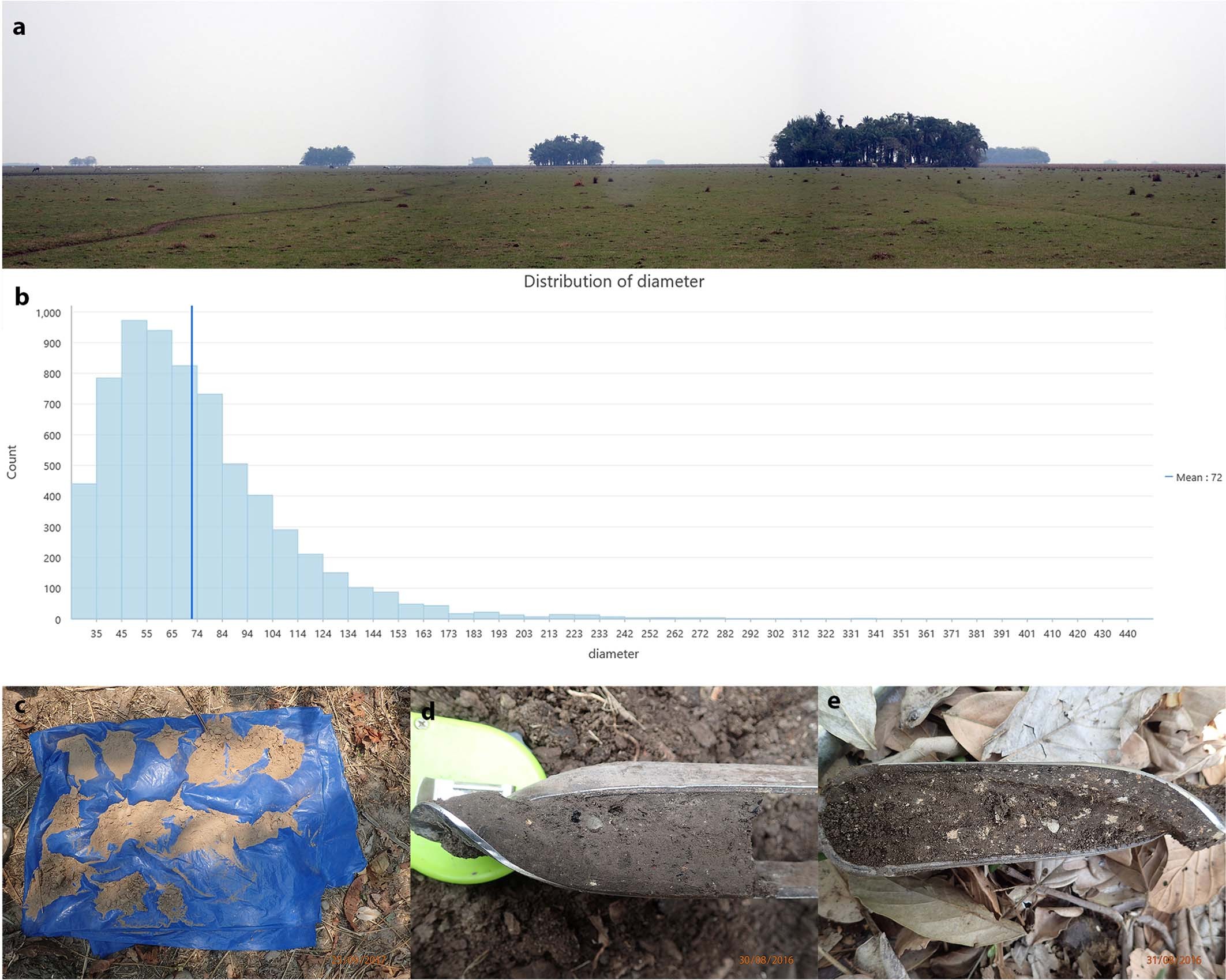 Extended Data Fig. 4
