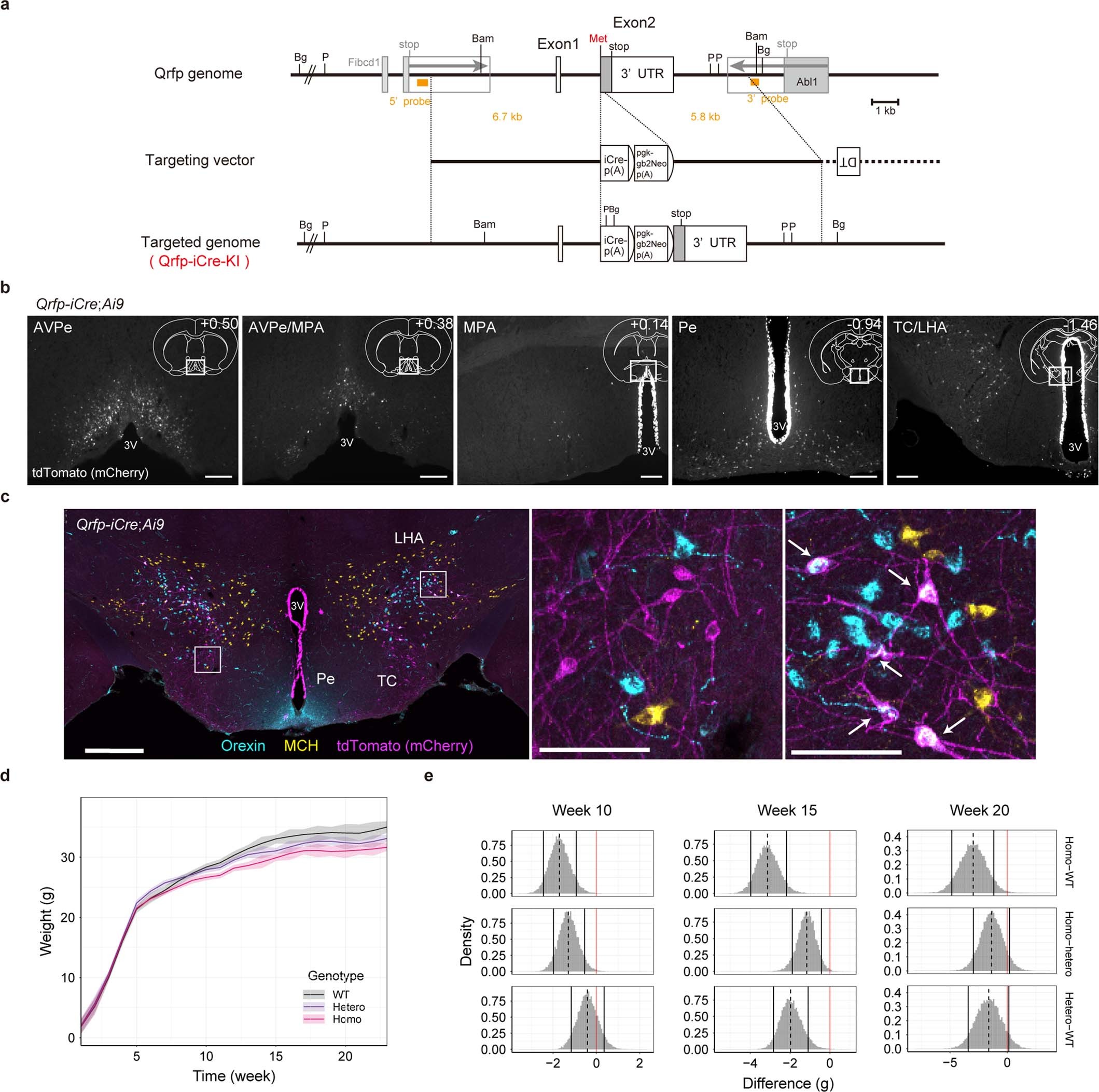 Extended Data Fig. 1: Generation of QrfpiCre mice.