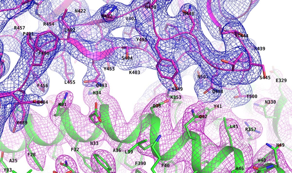 Extended Data Fig. 3