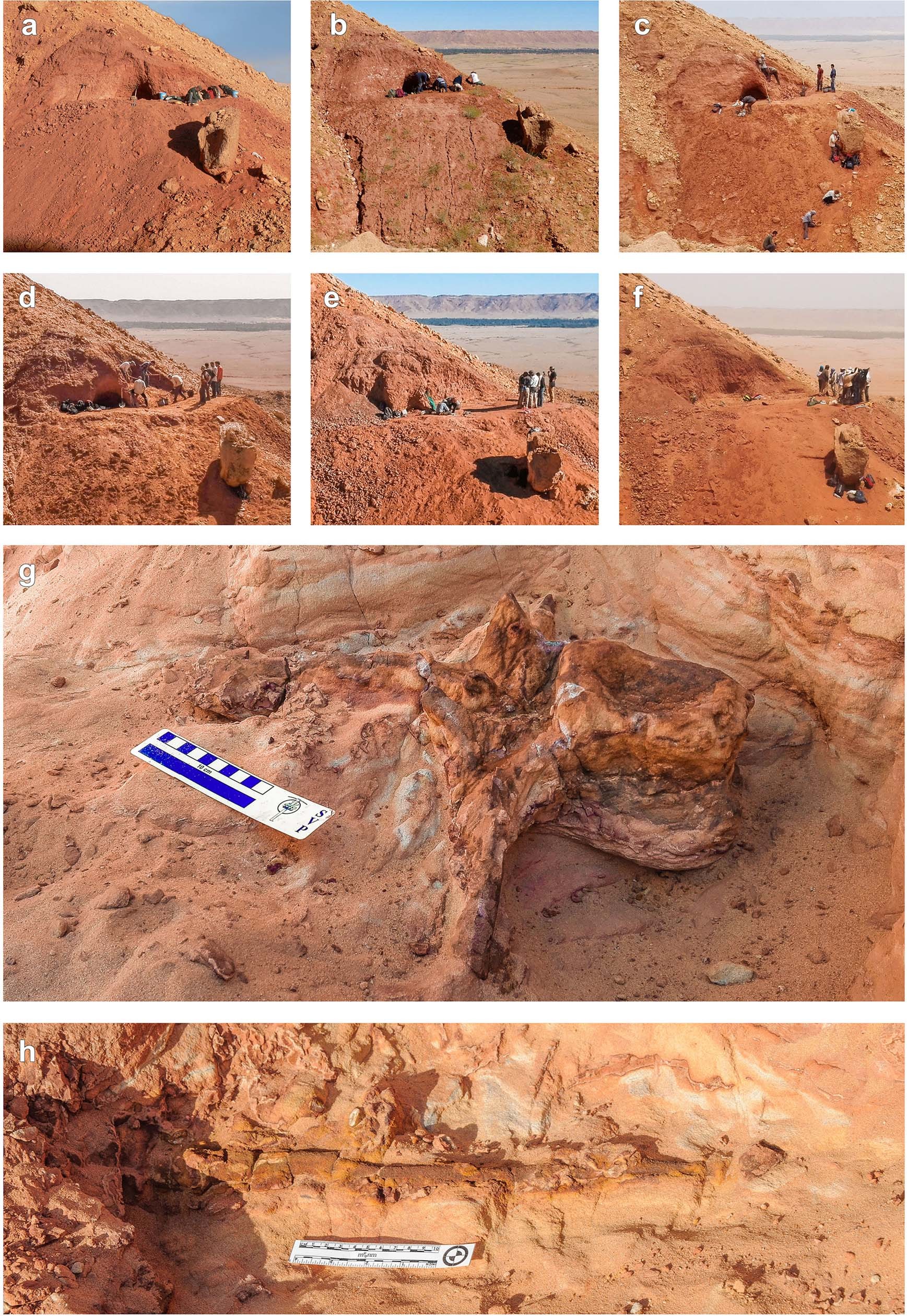 Extended Data Fig. 1