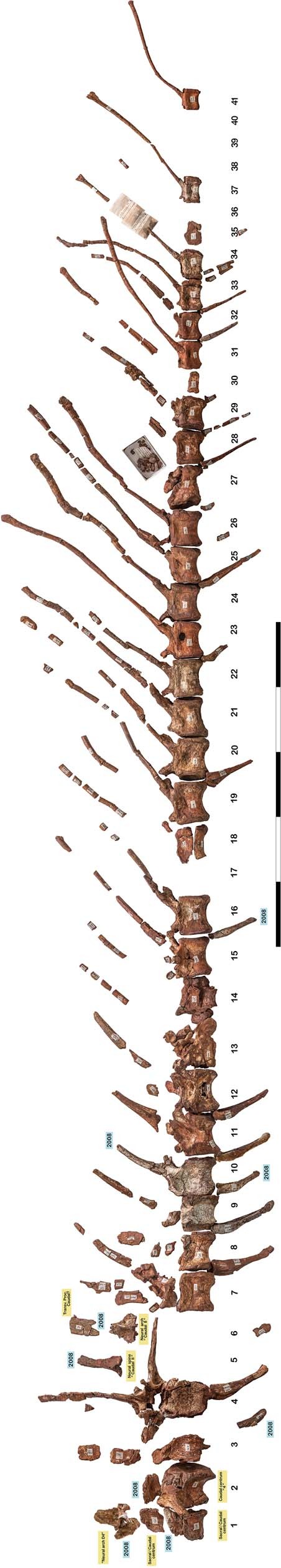Extended Data Fig. 4