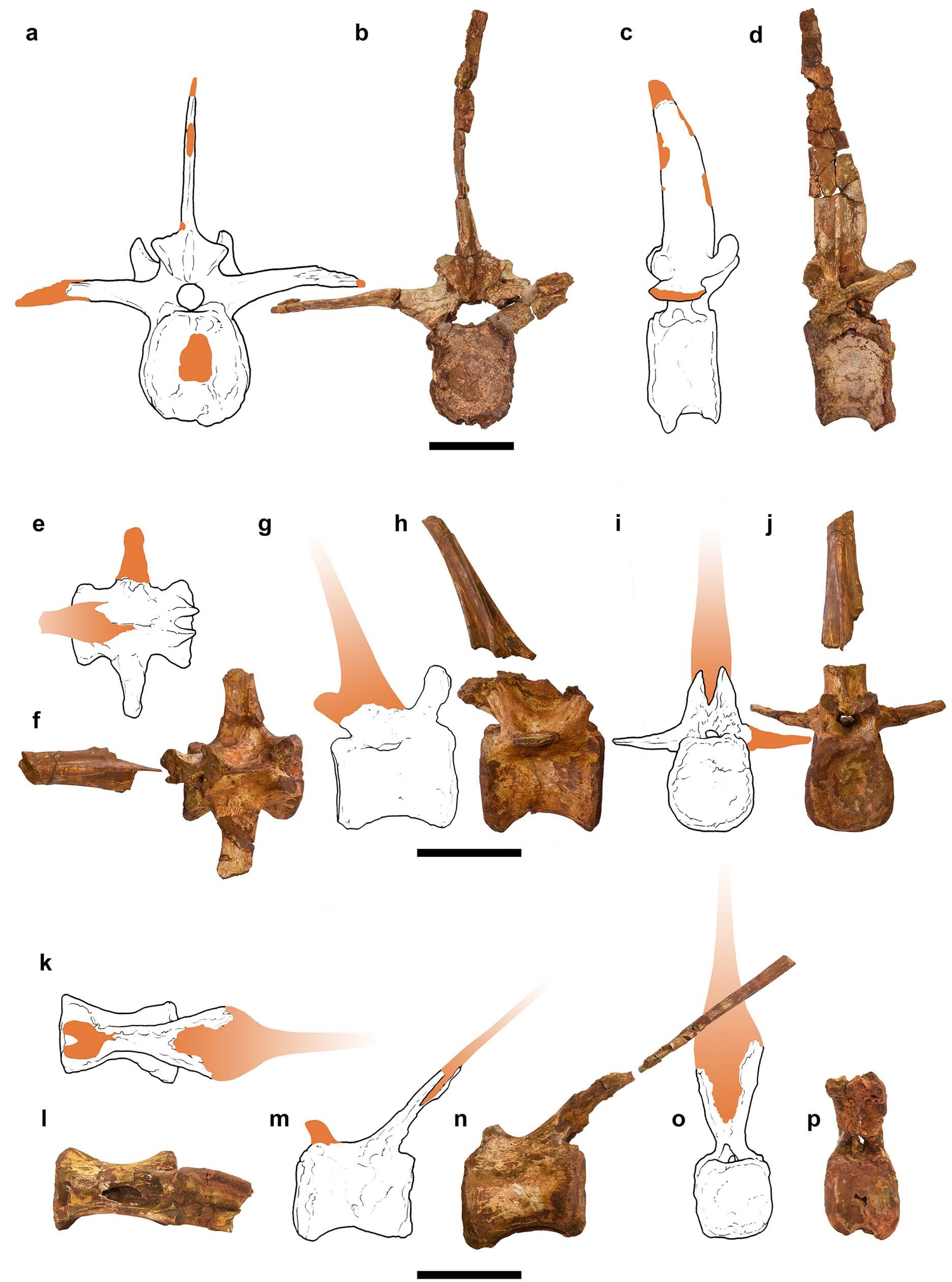 Extended Data Fig. 6