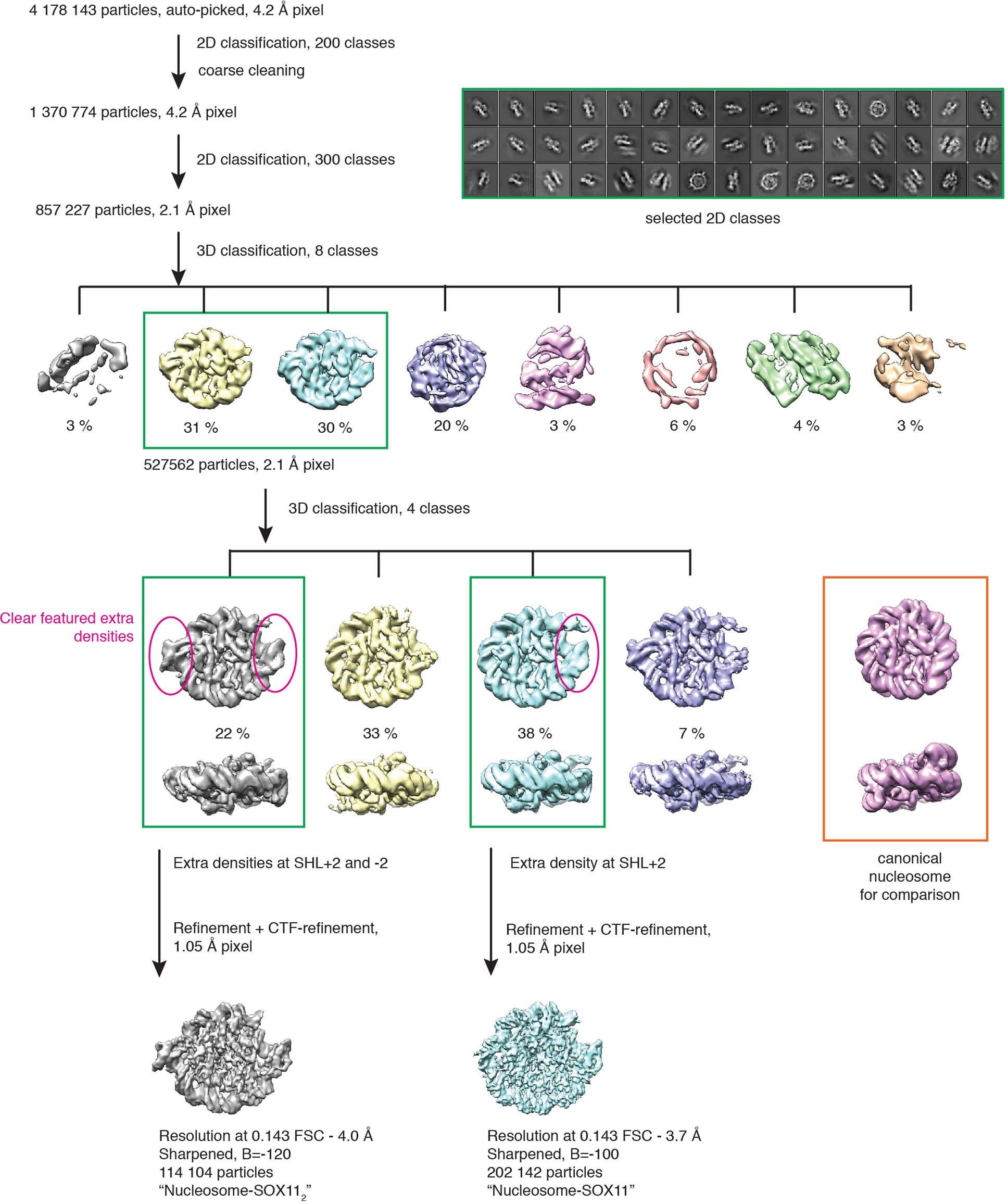 Extended Data Fig. 9
