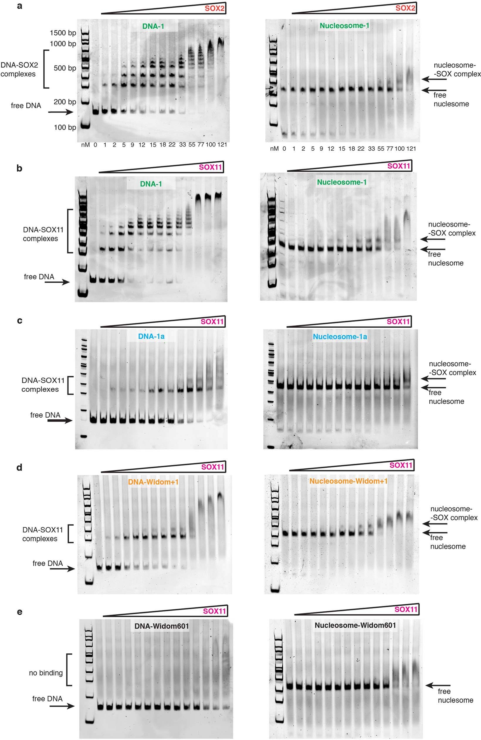 Extended Data Fig. 3