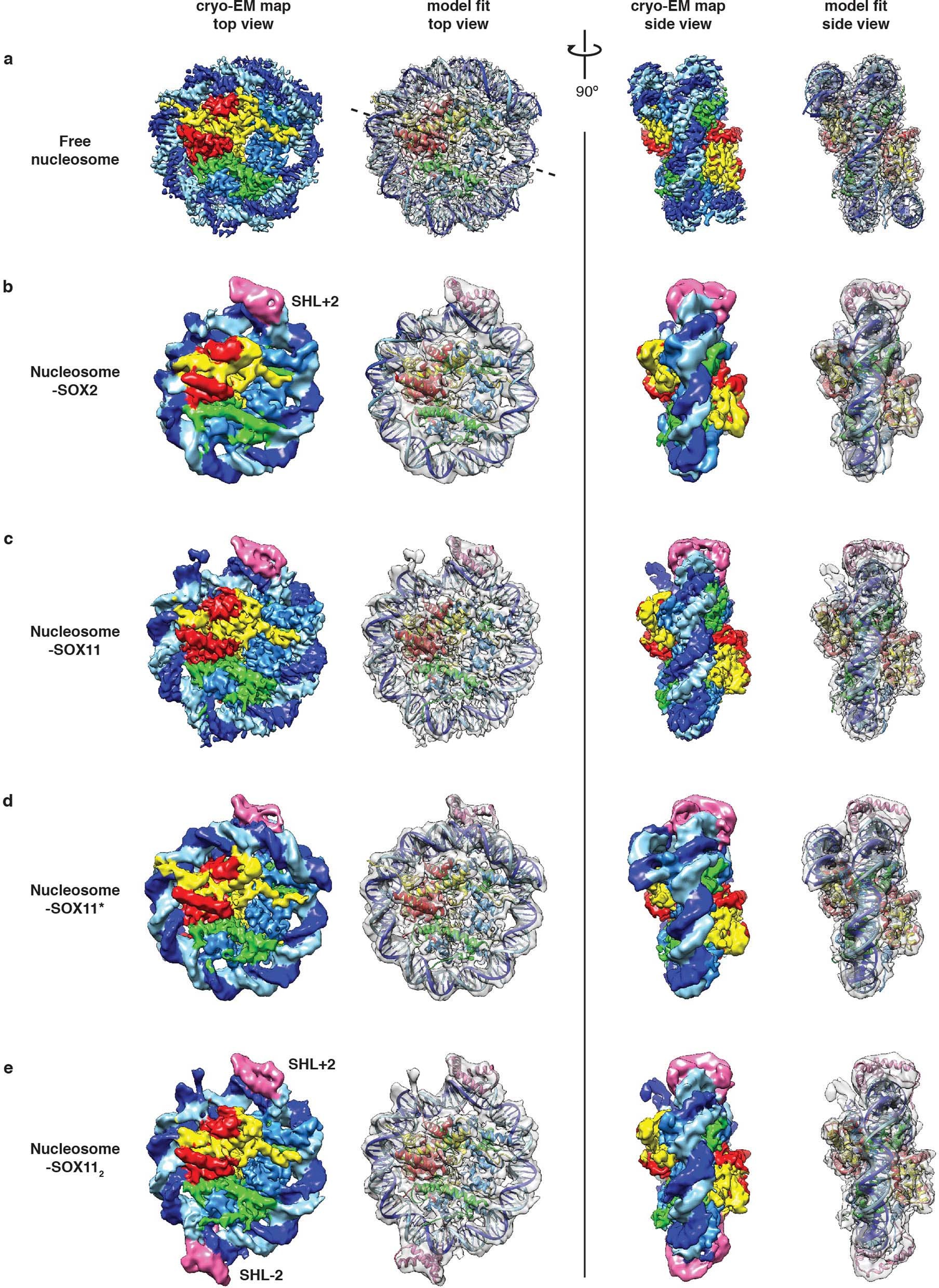 Extended Data Fig. 5