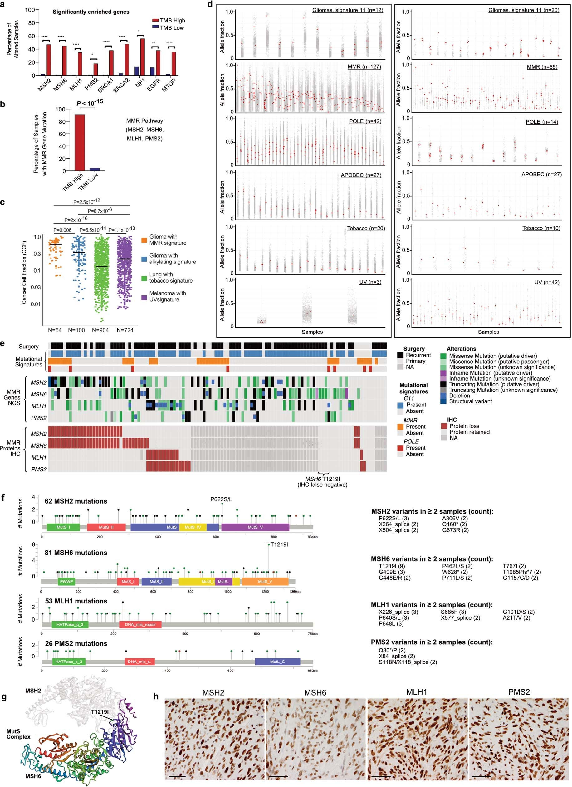 Extended Data Fig. 6