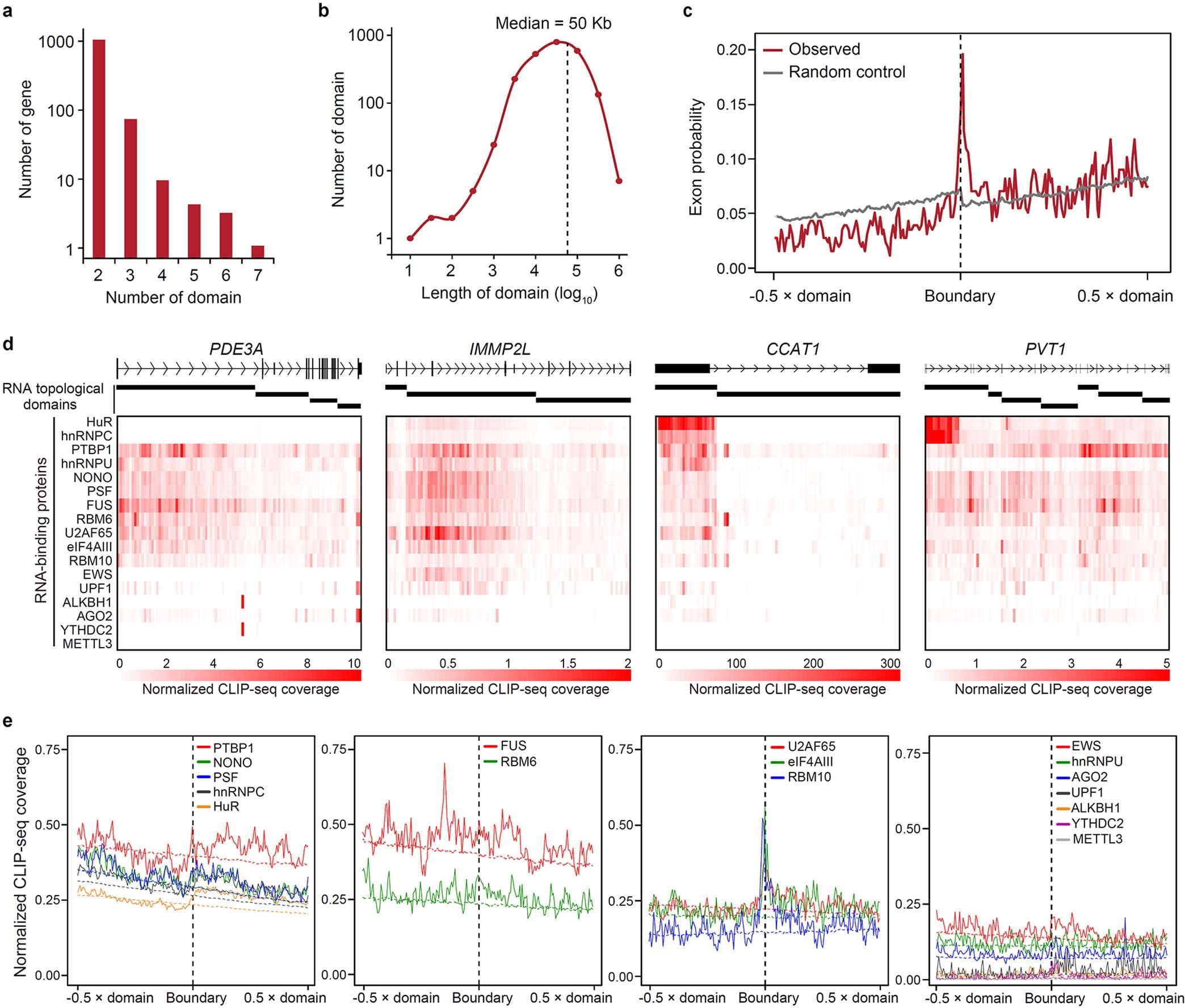 Extended Data Fig. 6: The features of RNA topological domain.