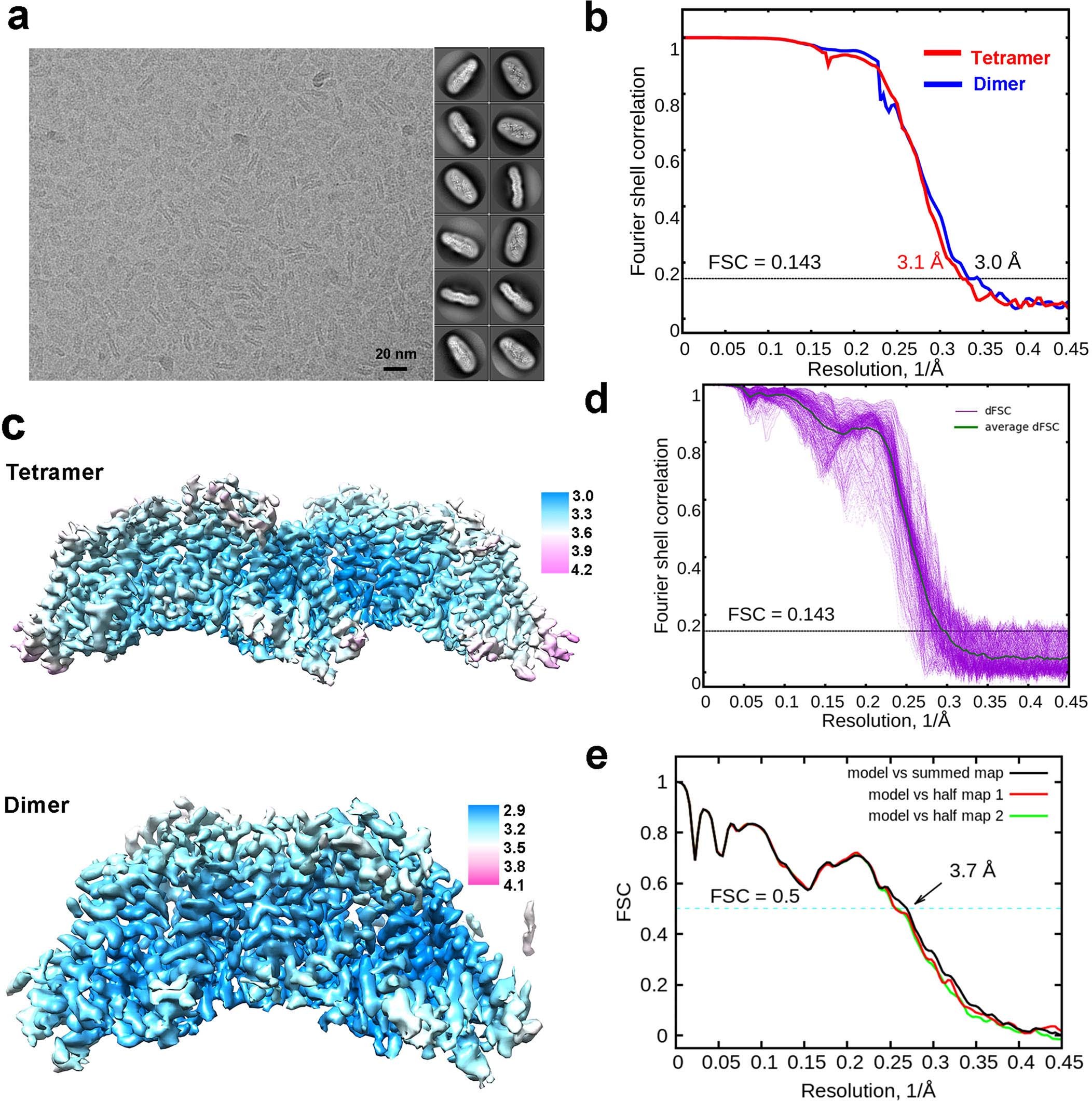 Extended Data Fig. 3