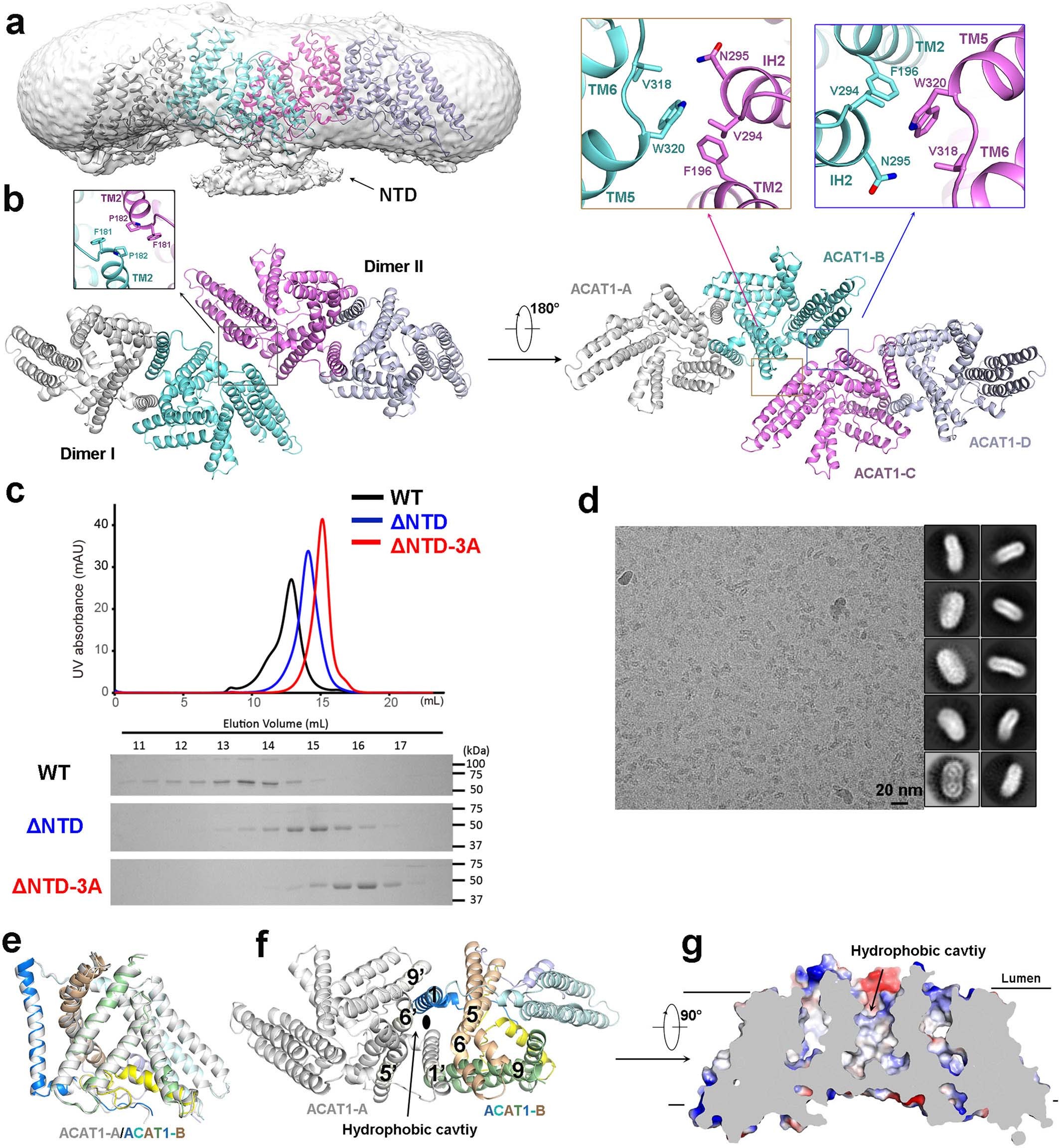Extended Data Fig. 5
