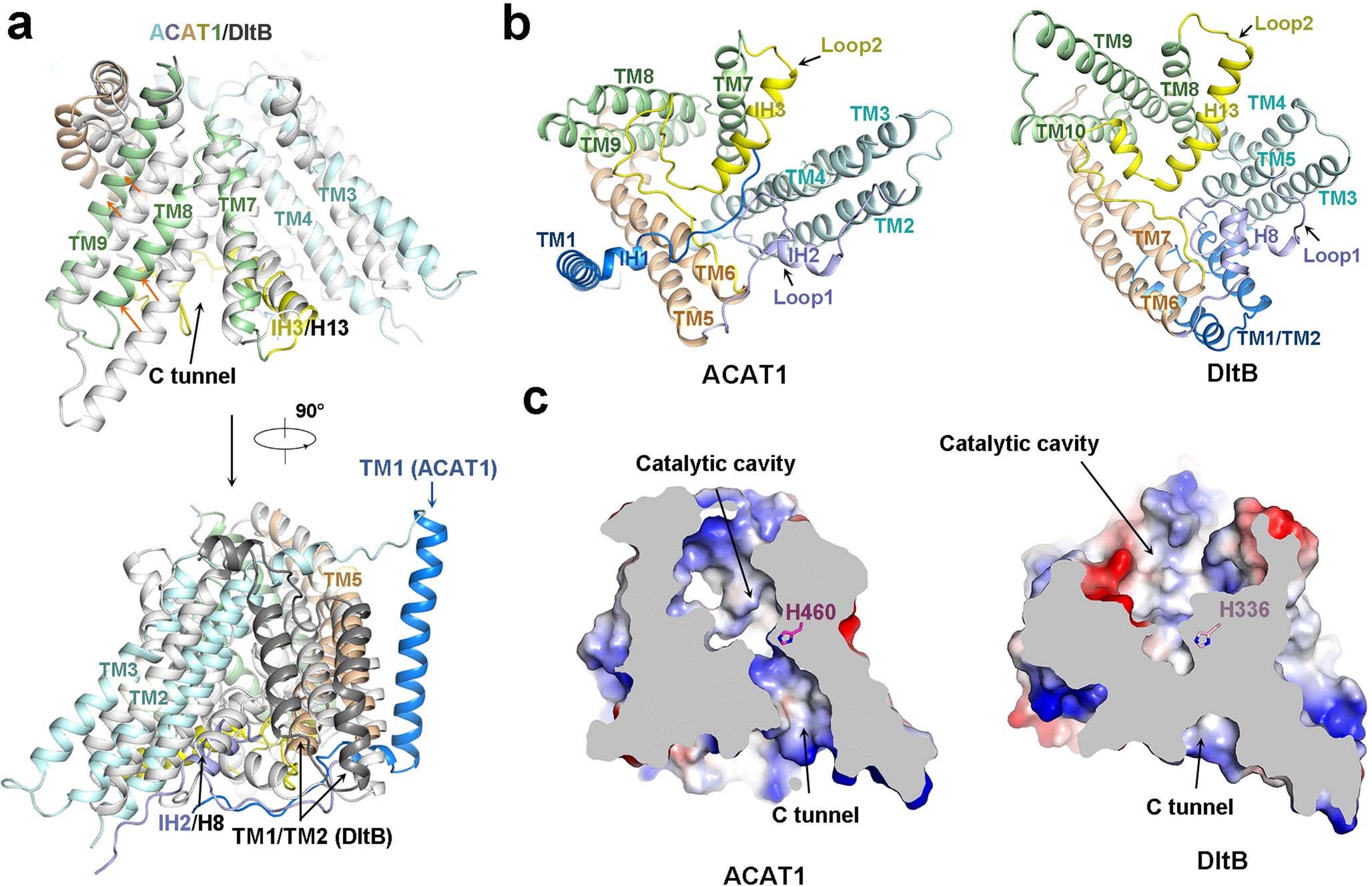 Extended Data Fig. 6