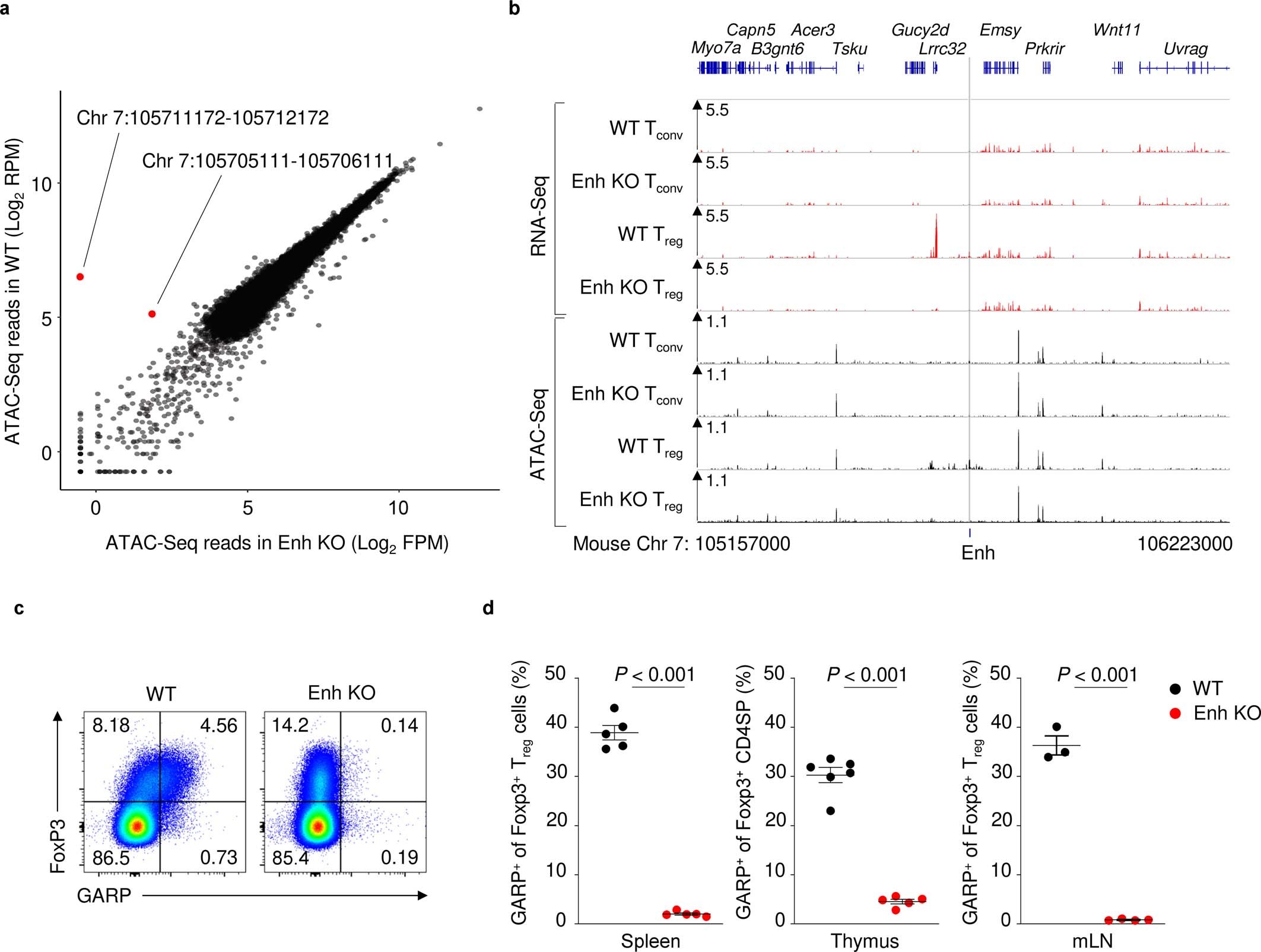 Extended Data Fig. 6: Loss of LRRC32 and GARP expression in Foxp3+ Treg cells from Enh-KO mice.