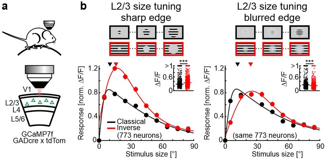 Extended Data Fig. 1
