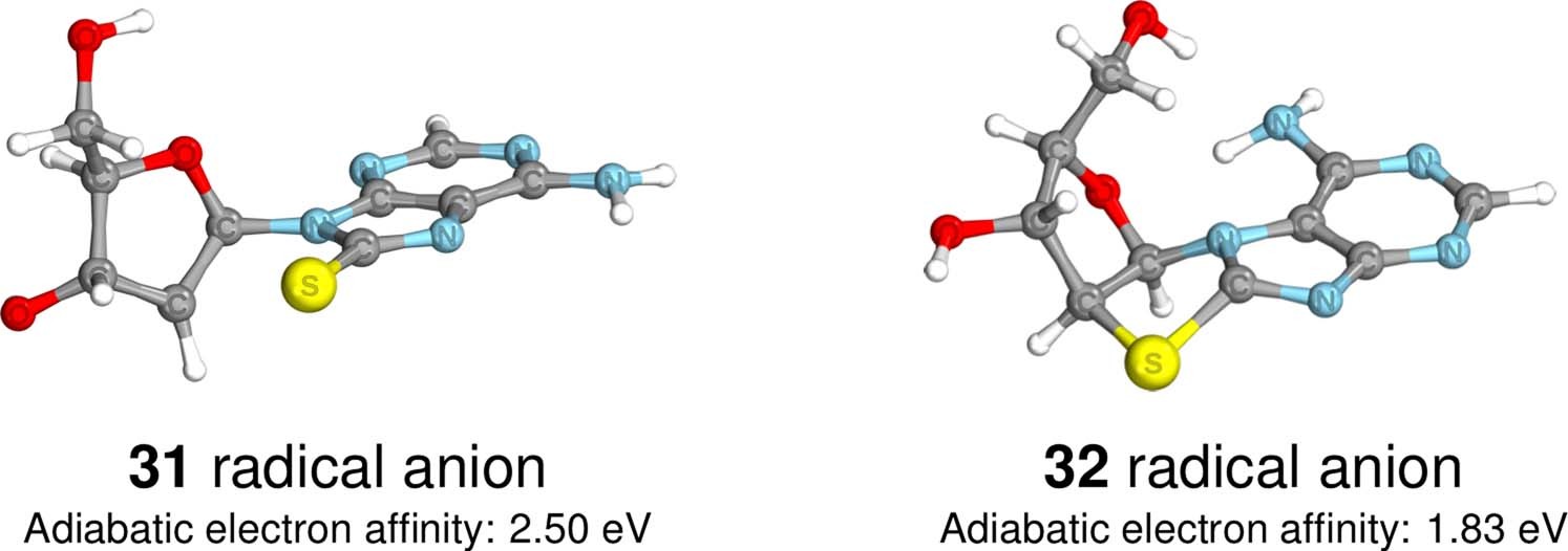 Extended Data Fig. 5: Equilibrium geometries of C2, S8 radical anion (31) and C8, N9 radical anion (32).
