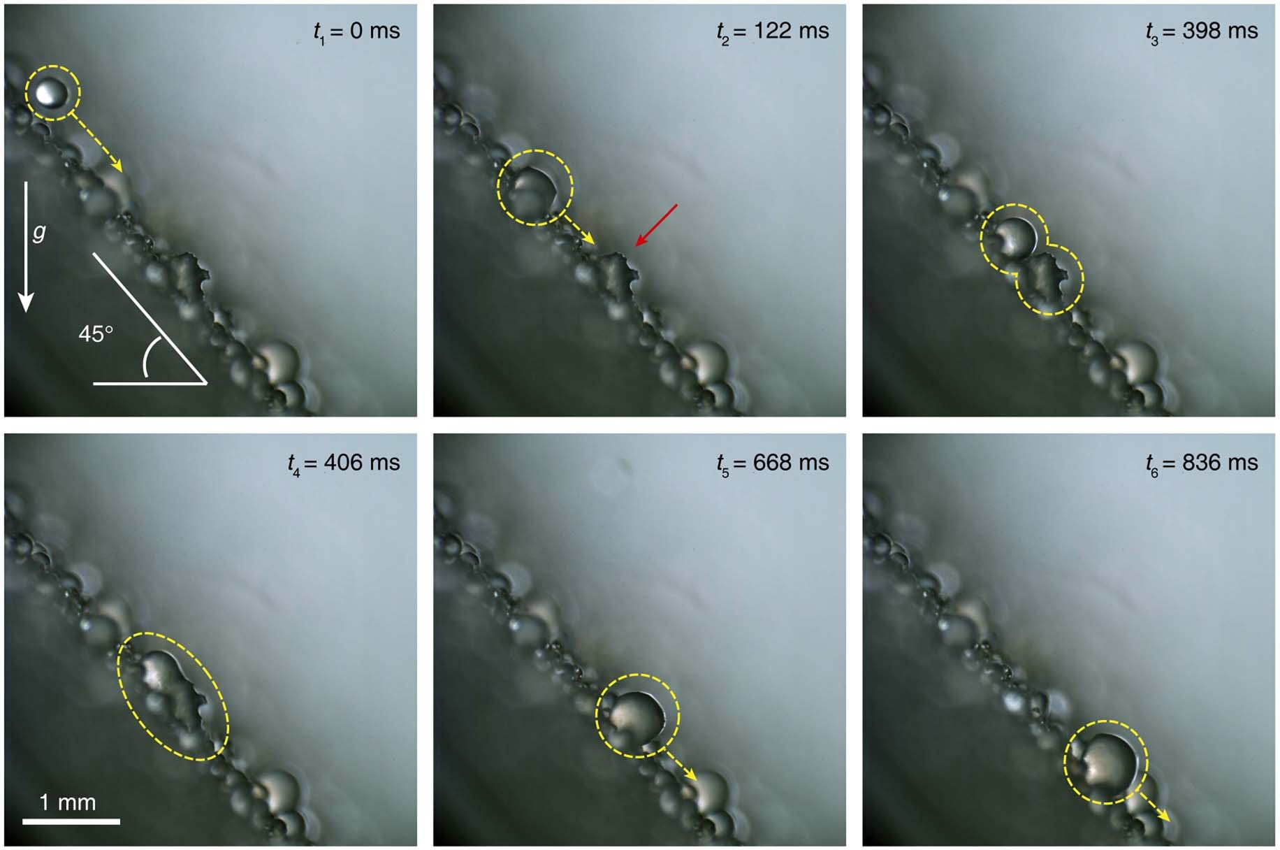 Extended Data Fig. 5