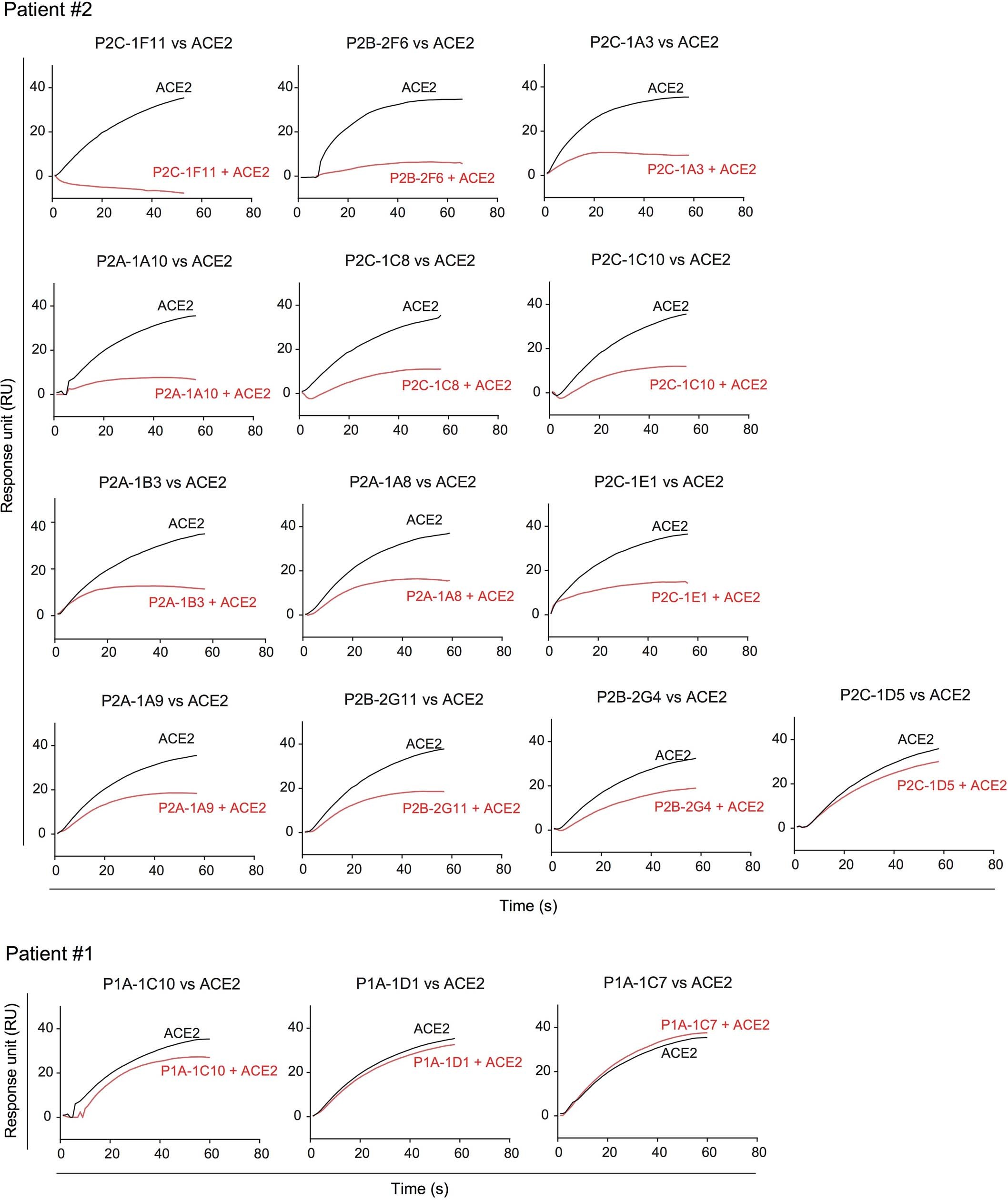 Extended Data Fig. 6: Antibody and ACE2 competition for binding to SARS-CoV-2 RBD measured by SPR.