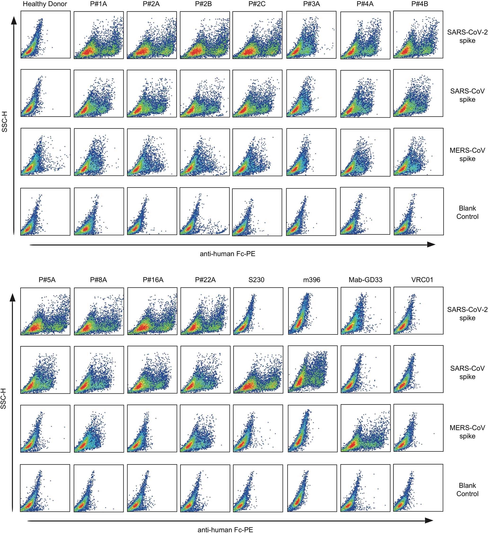 Extended Data Fig. 1: Analysis of plasma binding to cell surface expressed trimeric spike protein.