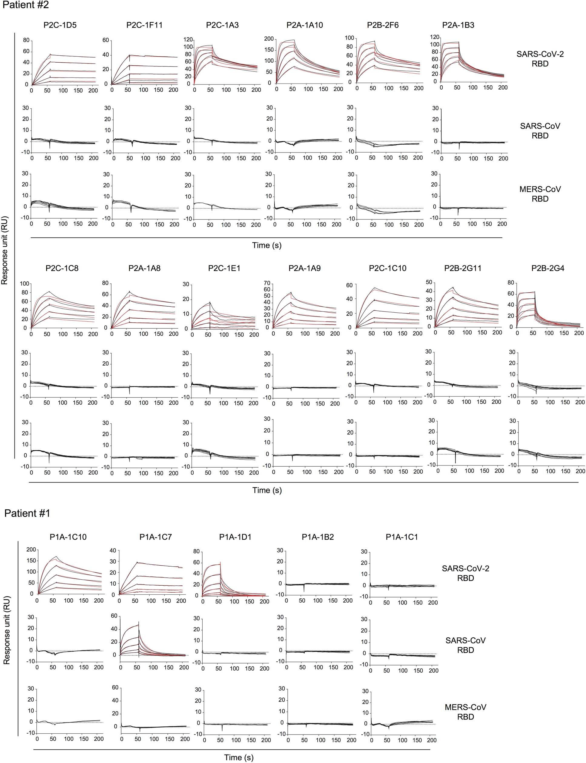 Extended Data Fig. 5: Binding kinetics of isolated monoclonal antibodies with SARS-CoV-2 RBD measured by SPR.