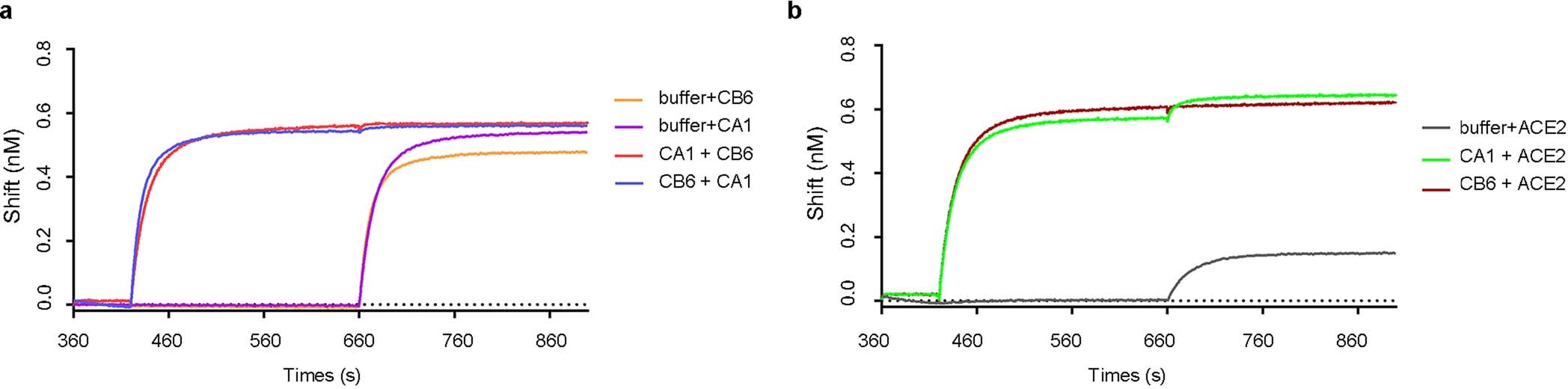 Extended Data Fig. 1: Analysis of direct competitive binding characteristics of CA1, CB6 and ACE2.