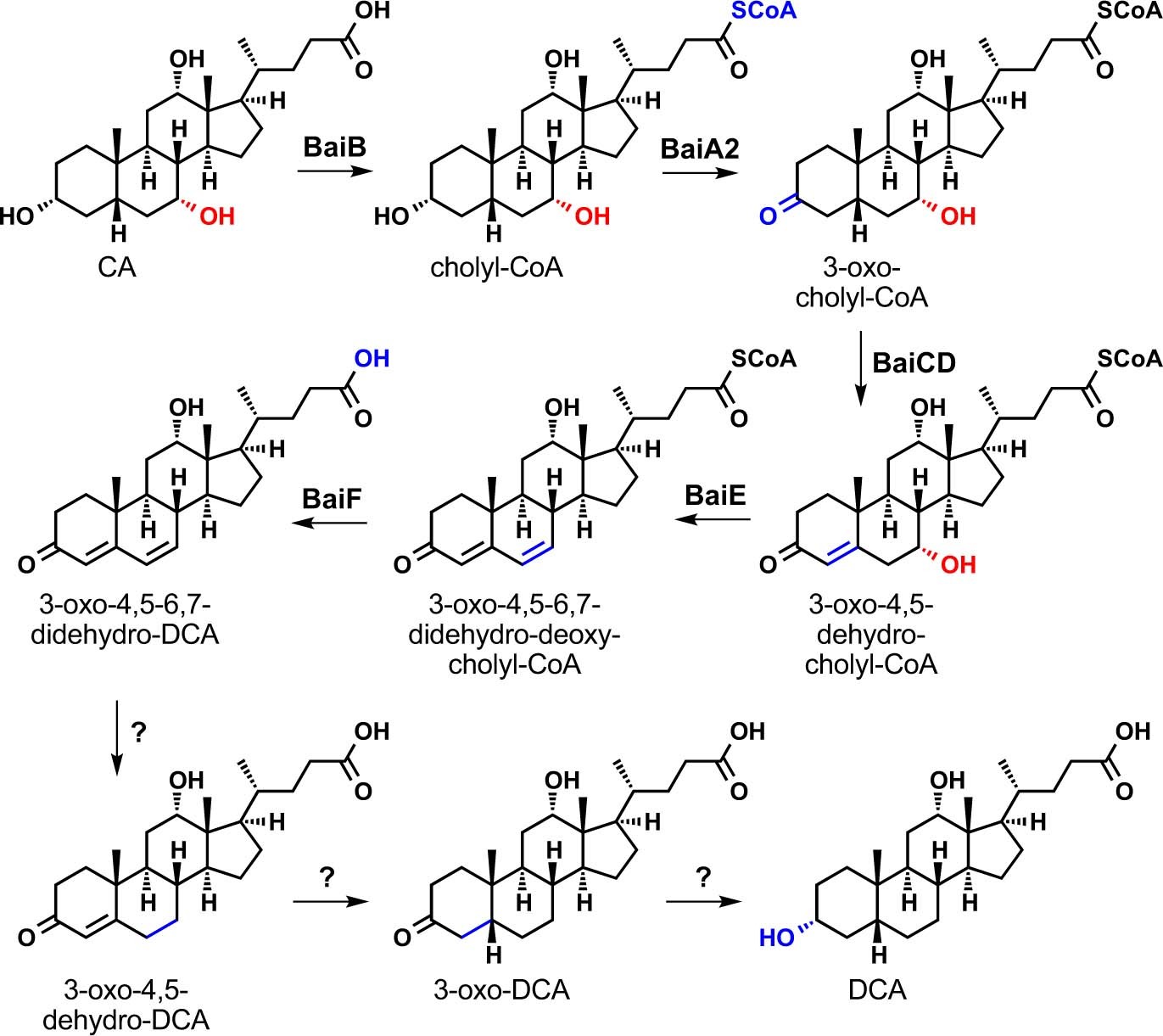 Extended Data Fig. 1