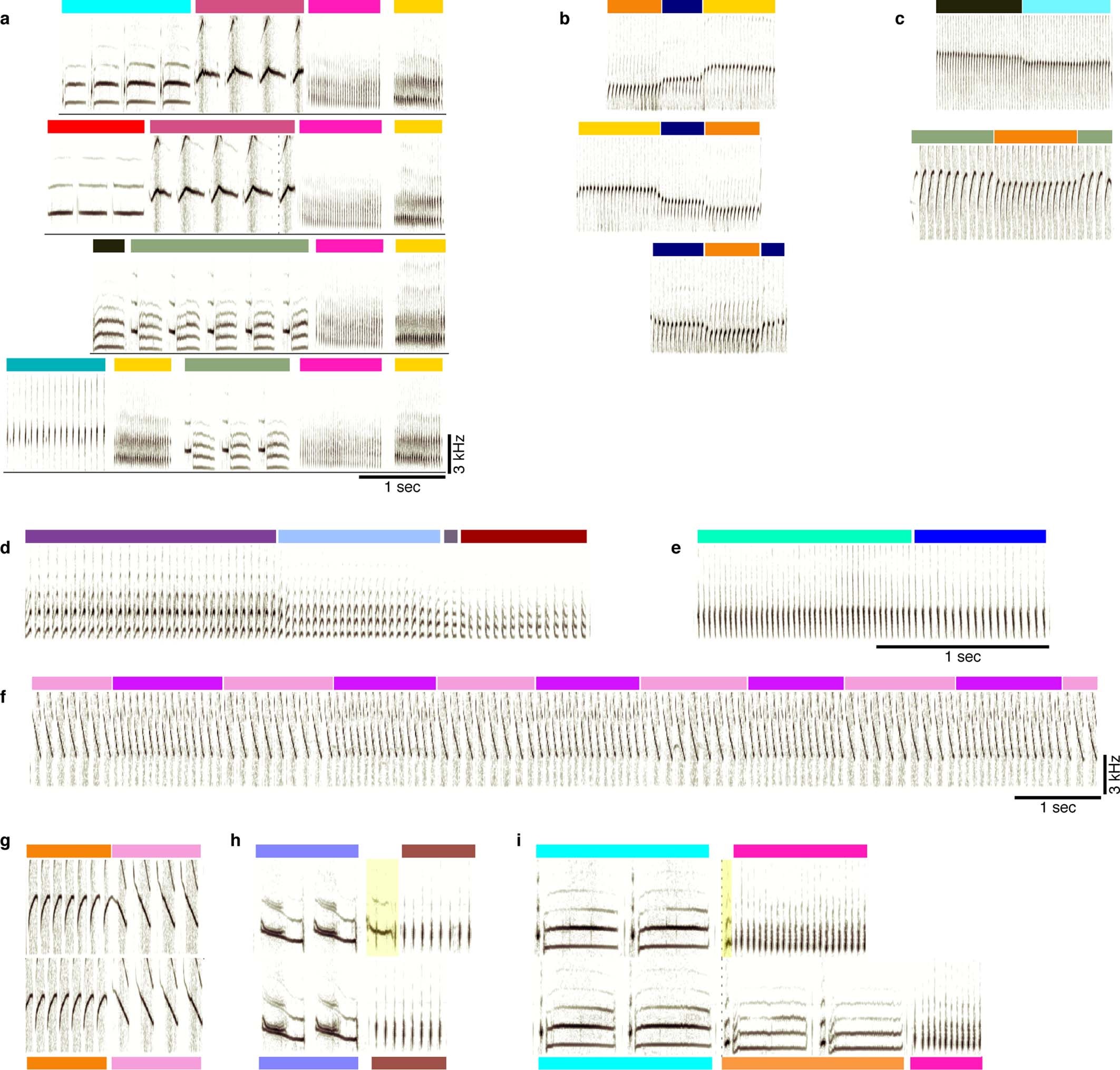 Extended Data Fig. 2: Examples of canary song phrase sequences, rare inter-phrase gaps, and aberrant syllables.